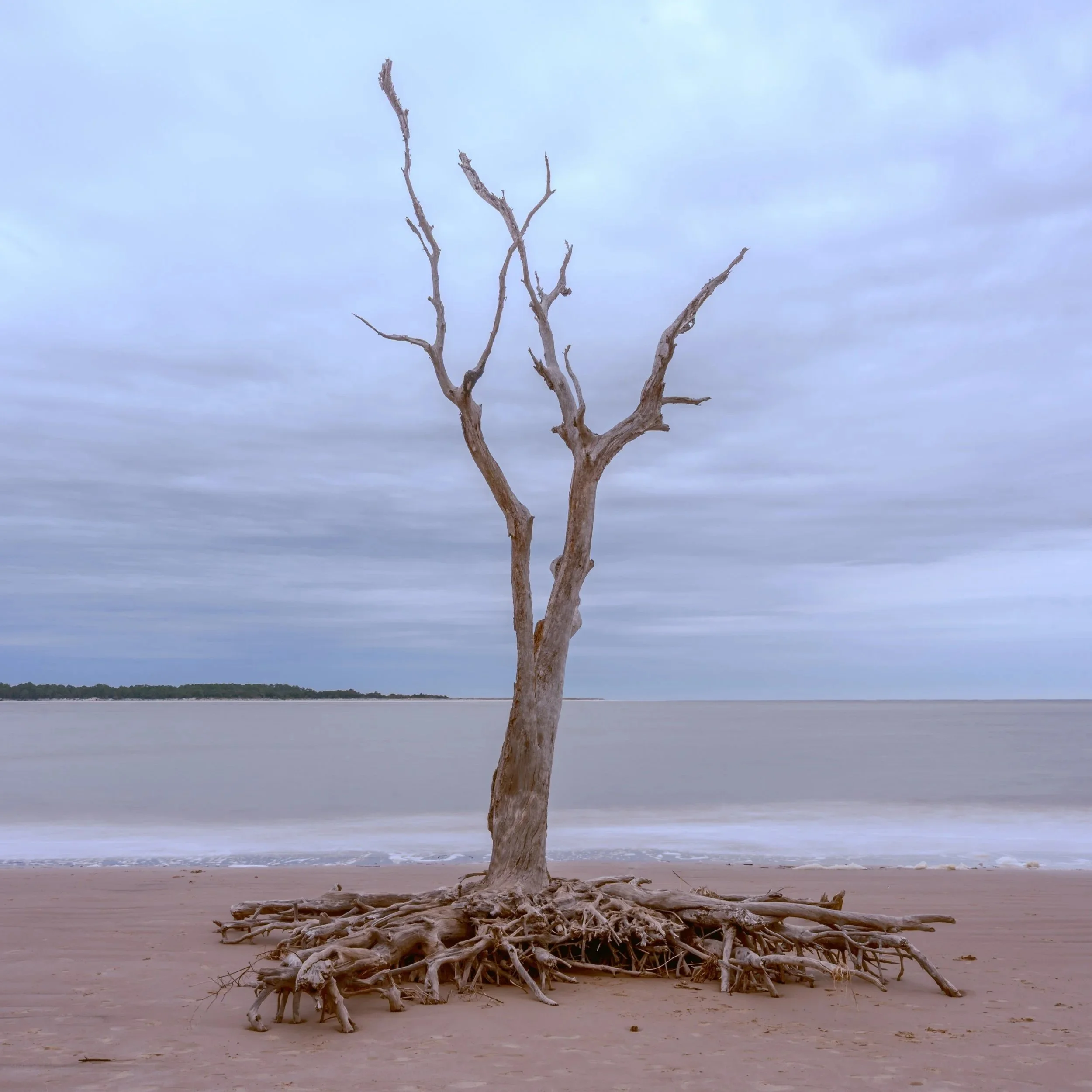 _DSC2737-HDR+copy.jpg