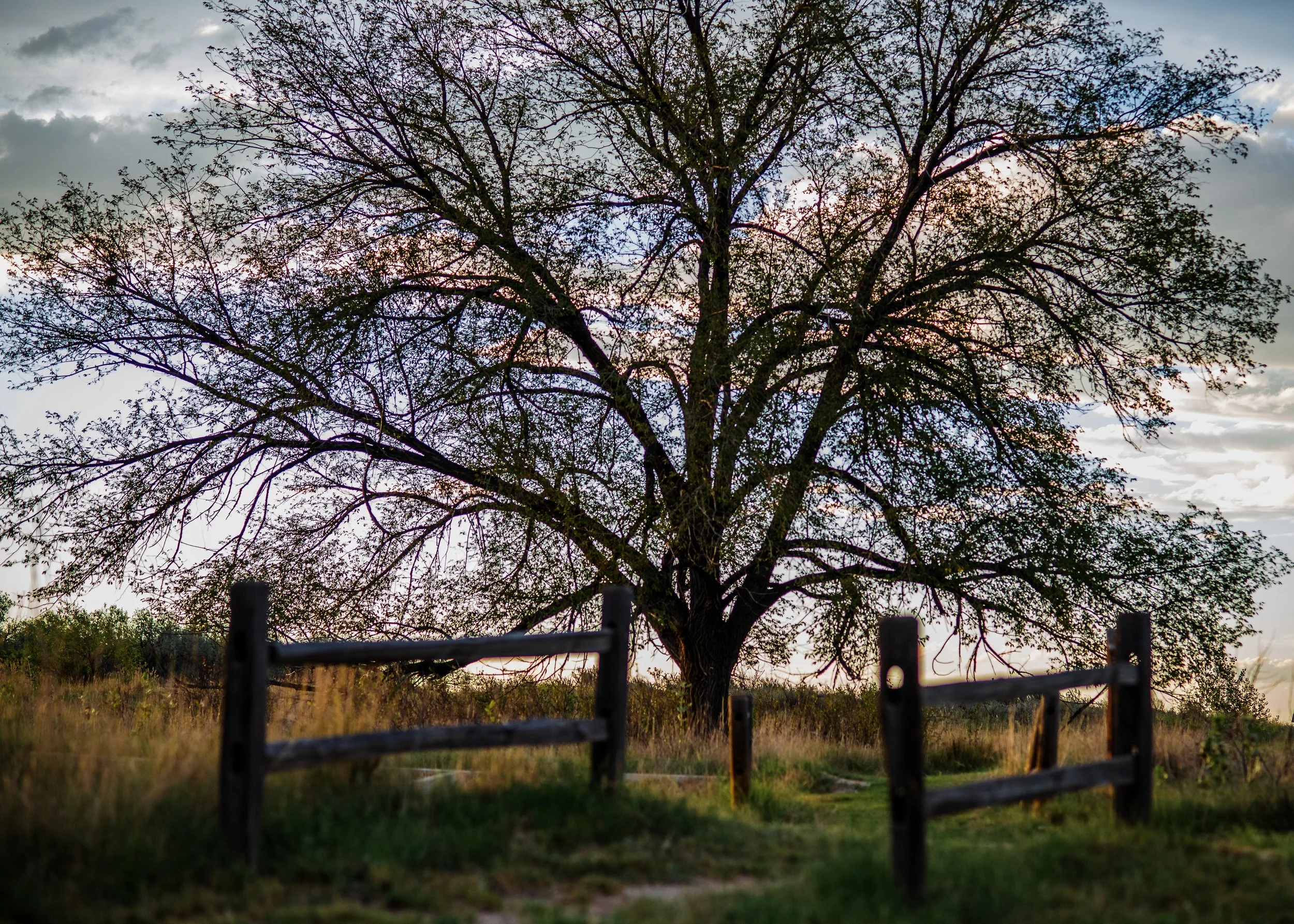 _DSC4709 copy.jpg