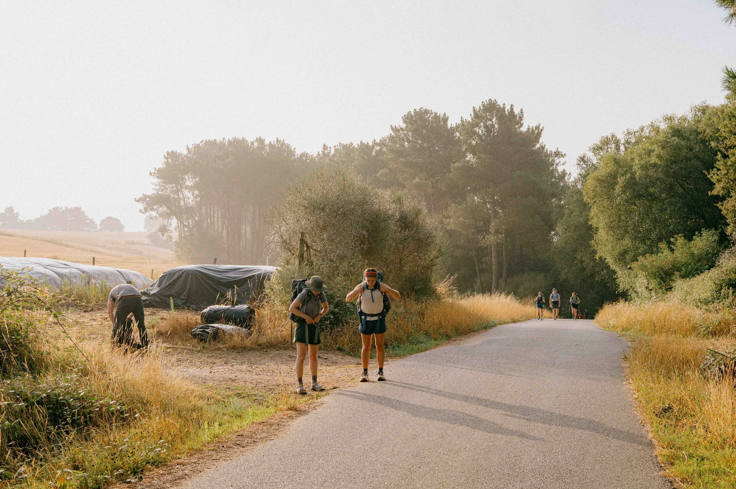 Hikers with backpacks walking on a rural country road surrounded by trees and fields.