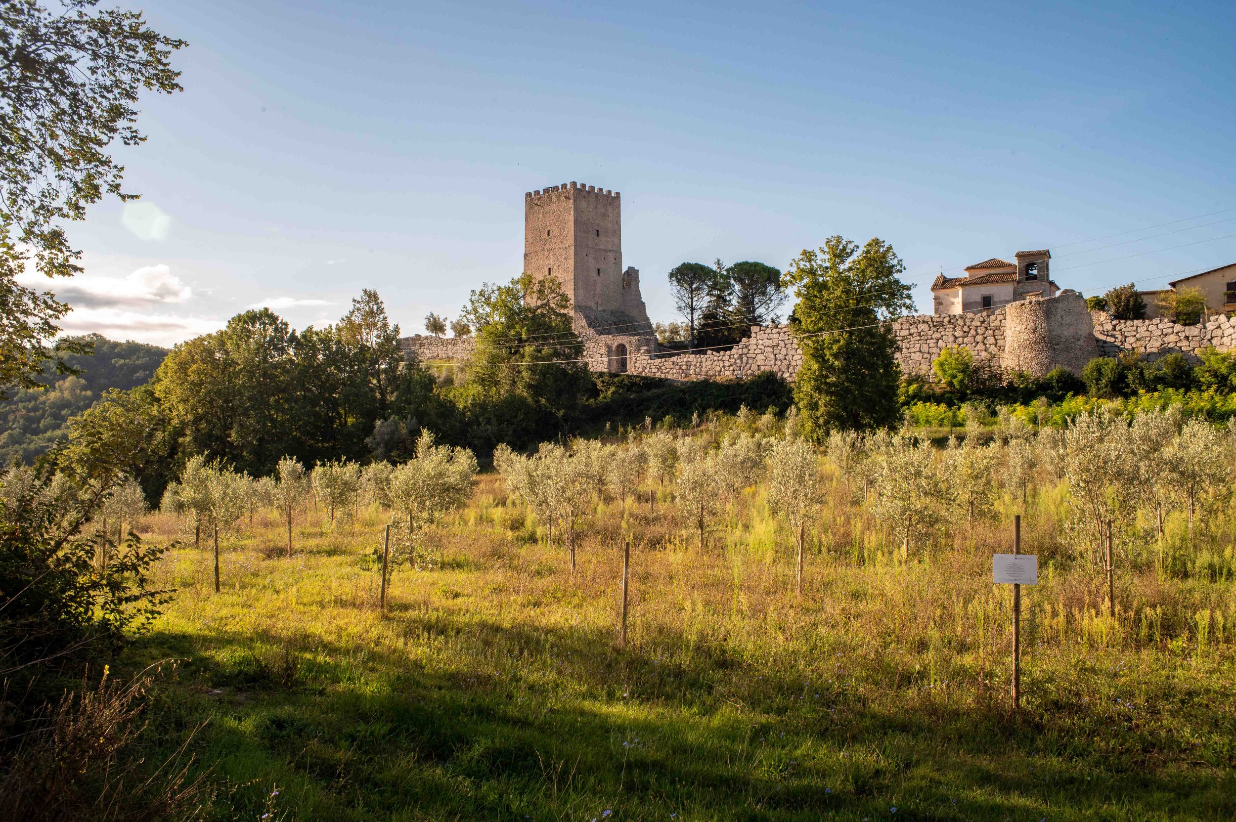 An ancient stone tower on a hill with surrounding stone walls and buildings, overlooking a field with young trees and a small sign, under a clear blue sky.