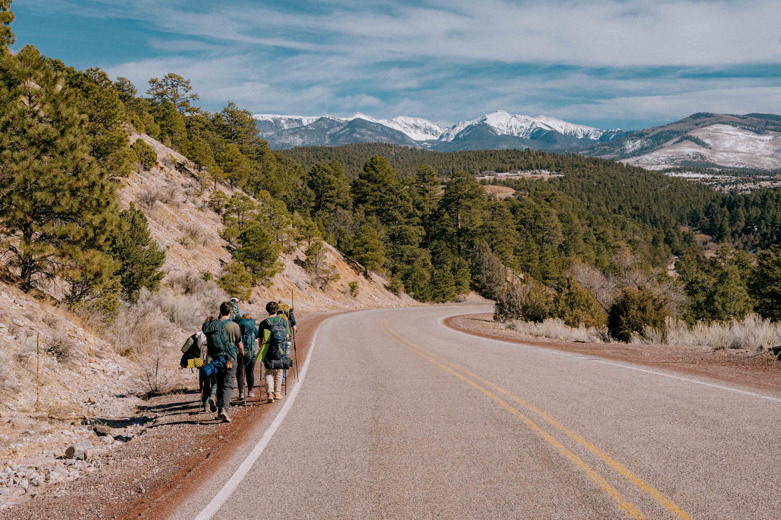 Group of hikers walking along a mountain road with green trees, rocky terrain, and snow-capped mountains in the background.