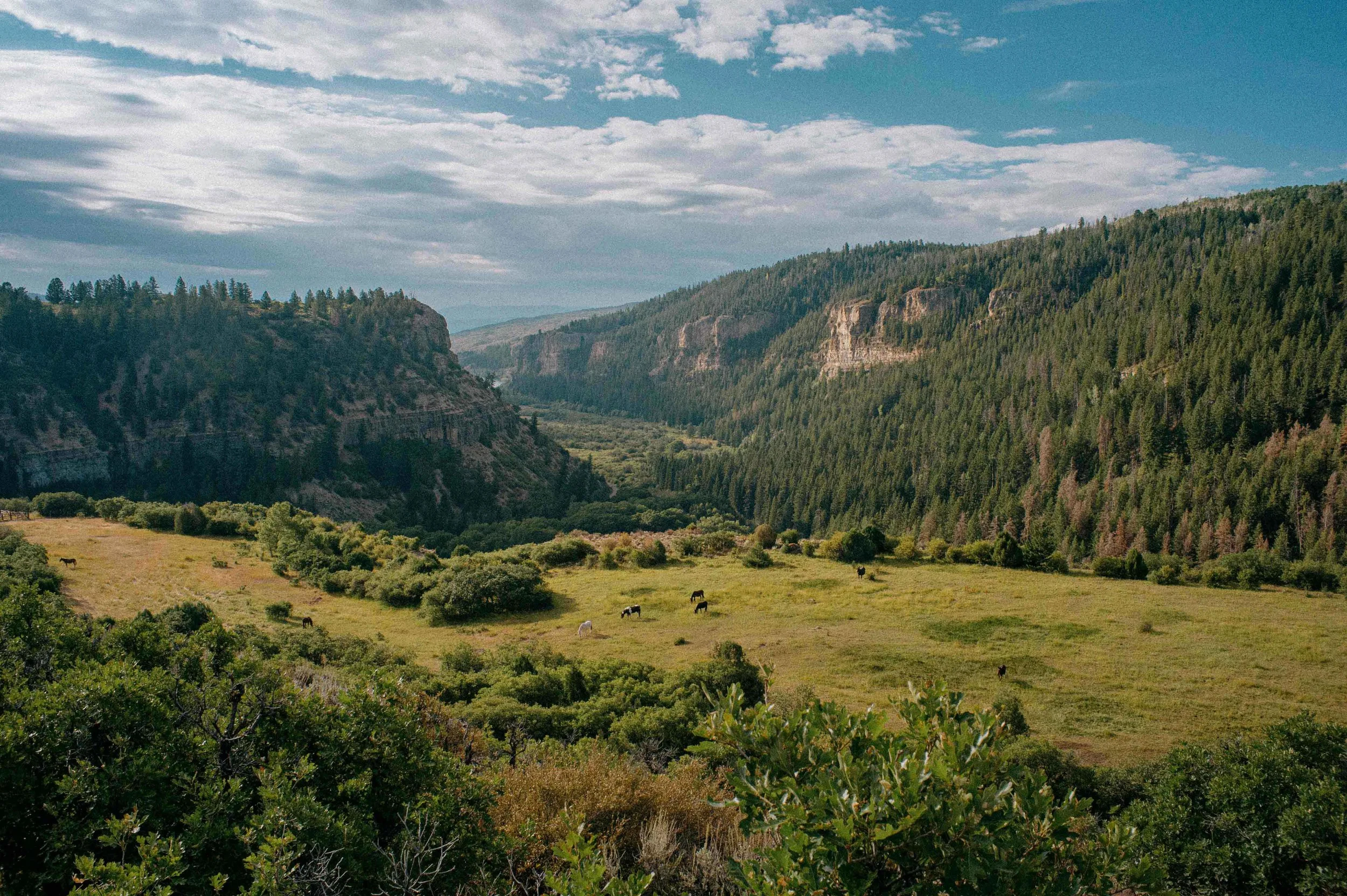 FlatTops_250815_Ryan Brady_0074.jpg