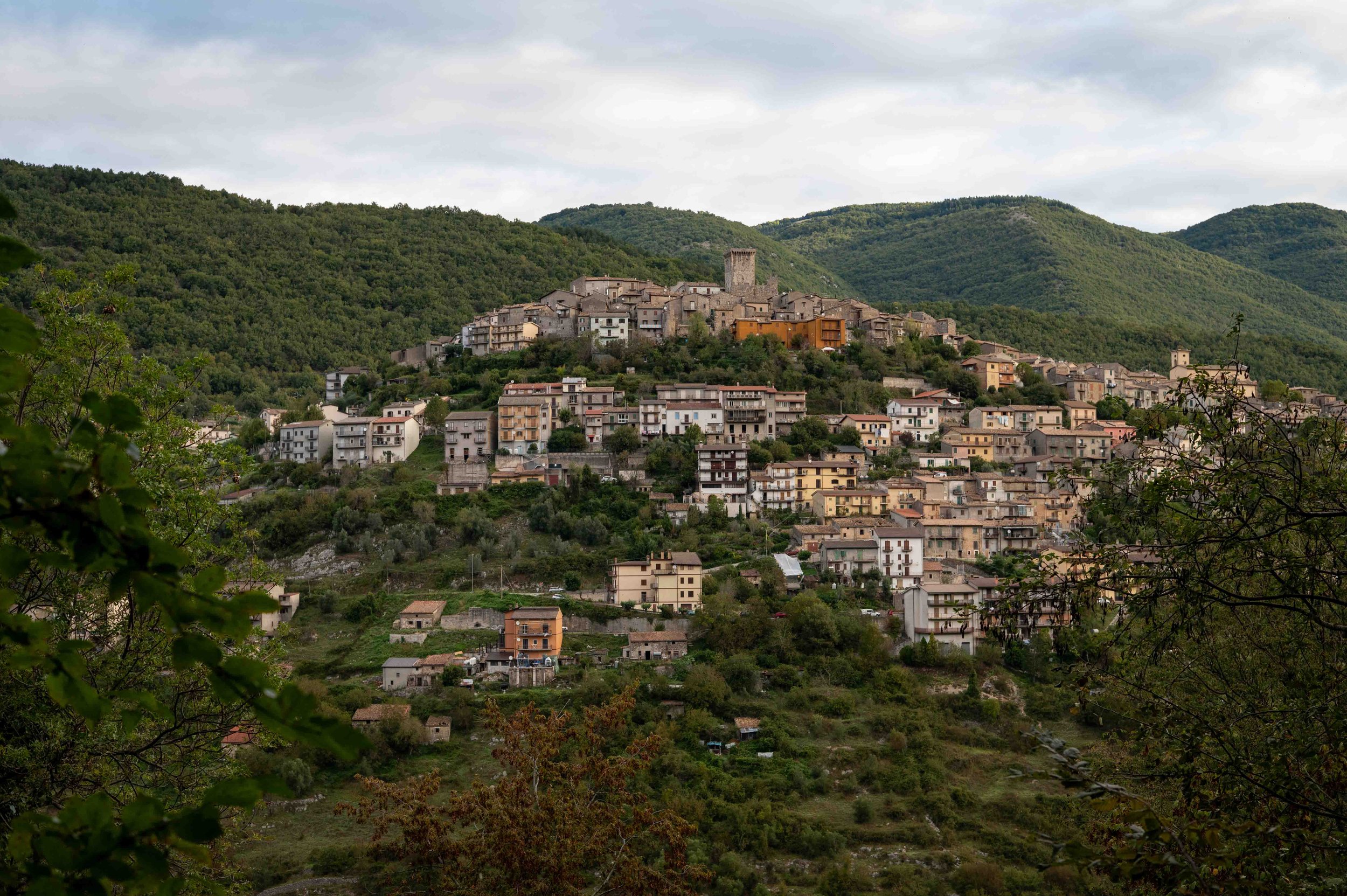 A hillside town with numerous houses and buildings of varying heights and colors, surrounded by lush green trees and forested mountains under a cloudy sky.
