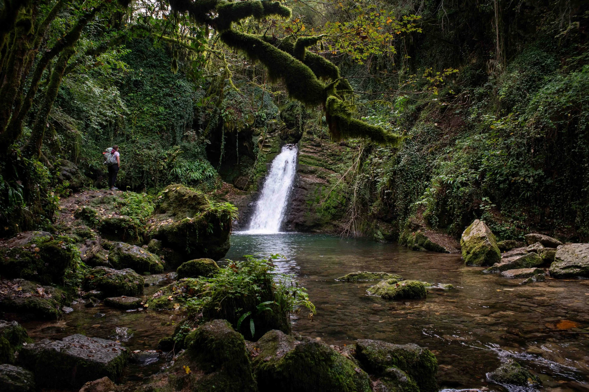 A person standing on rocks near a small waterfall in a lush green forest.