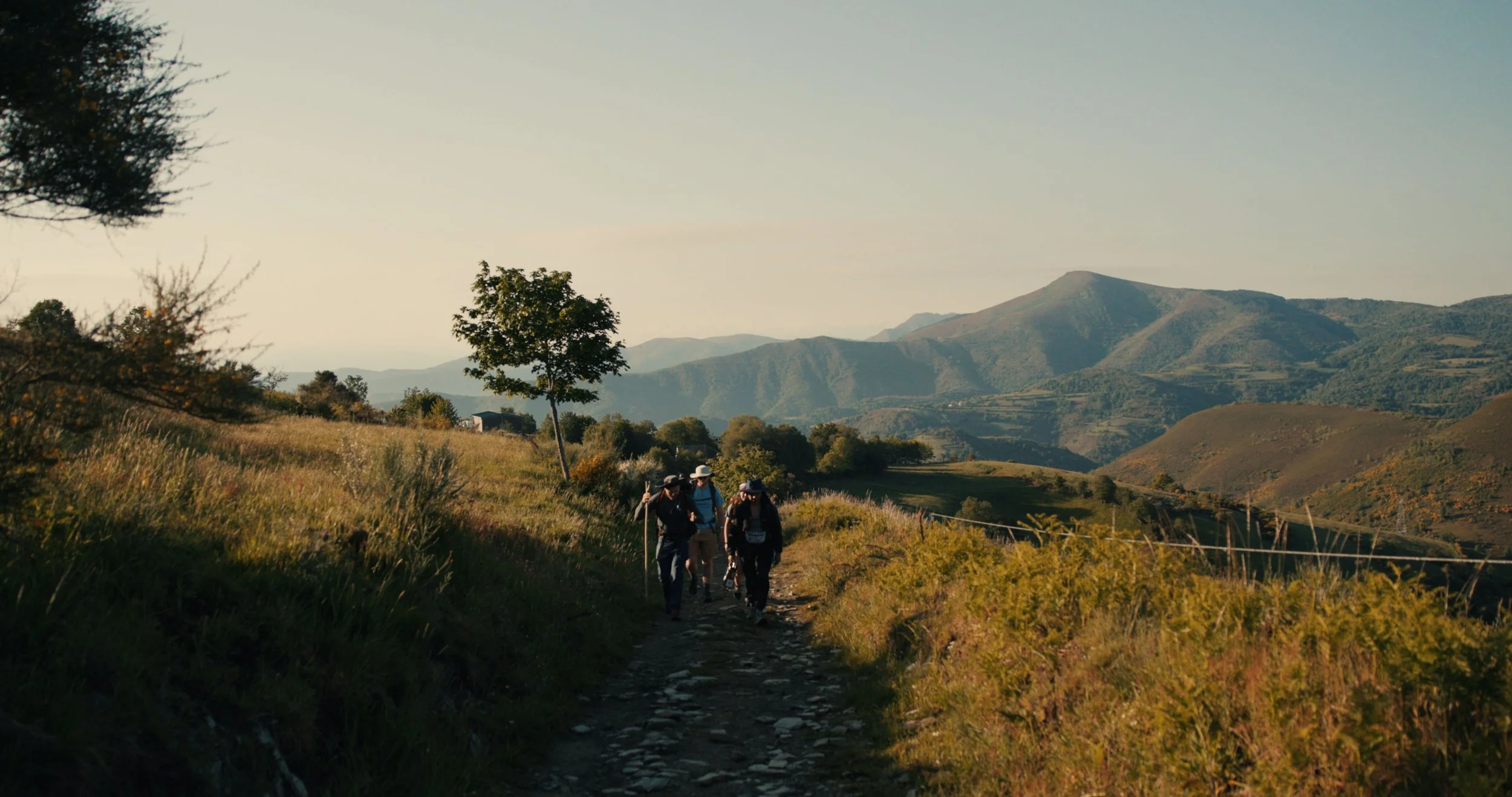 A group of people hiking on a trail through a scenic mountain landscape with rolling hills and distant mountains under a clear sky.