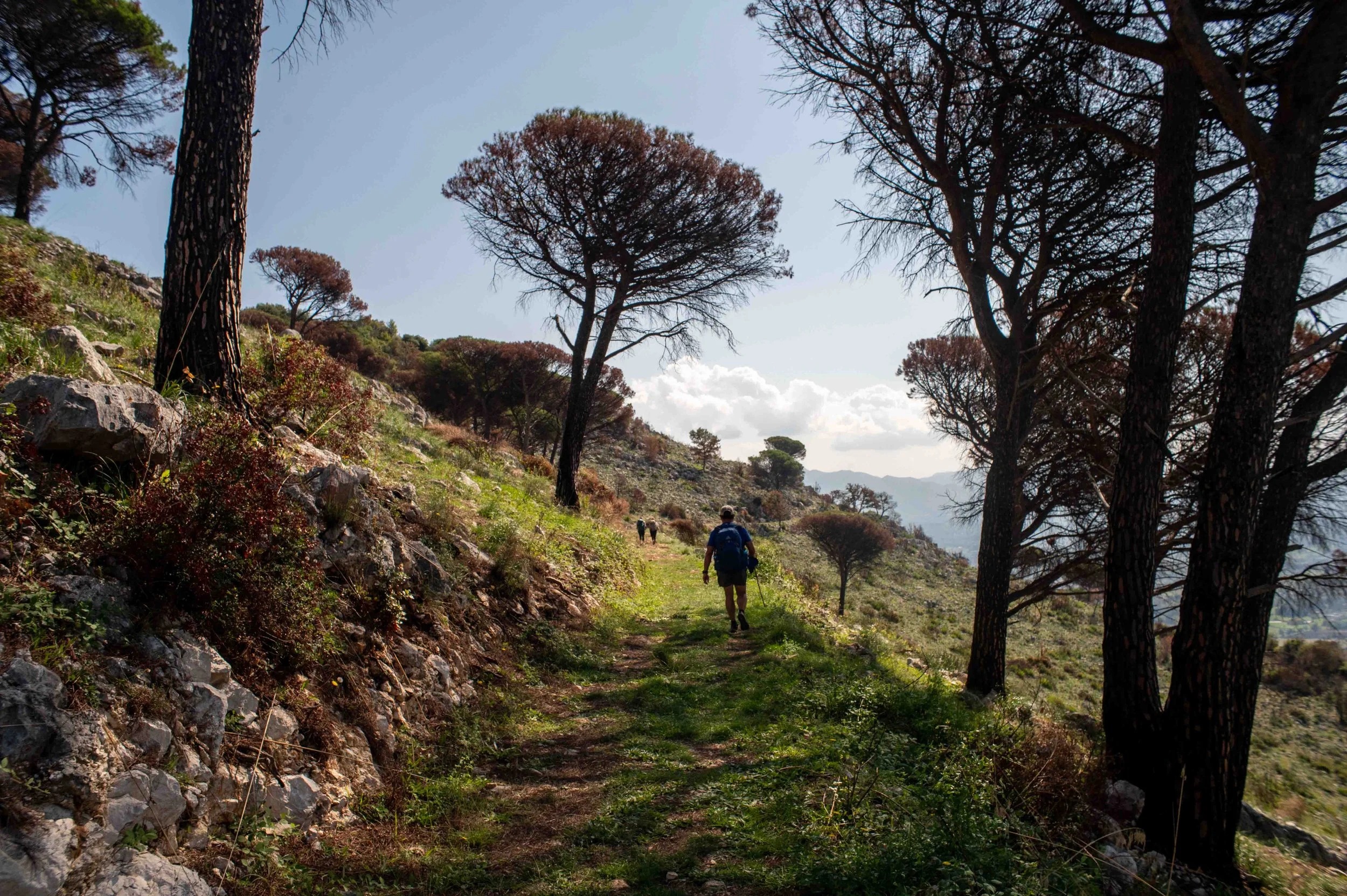 Hiker walking on a trail through a hillside with trees and rocks under a partly cloudy sky.