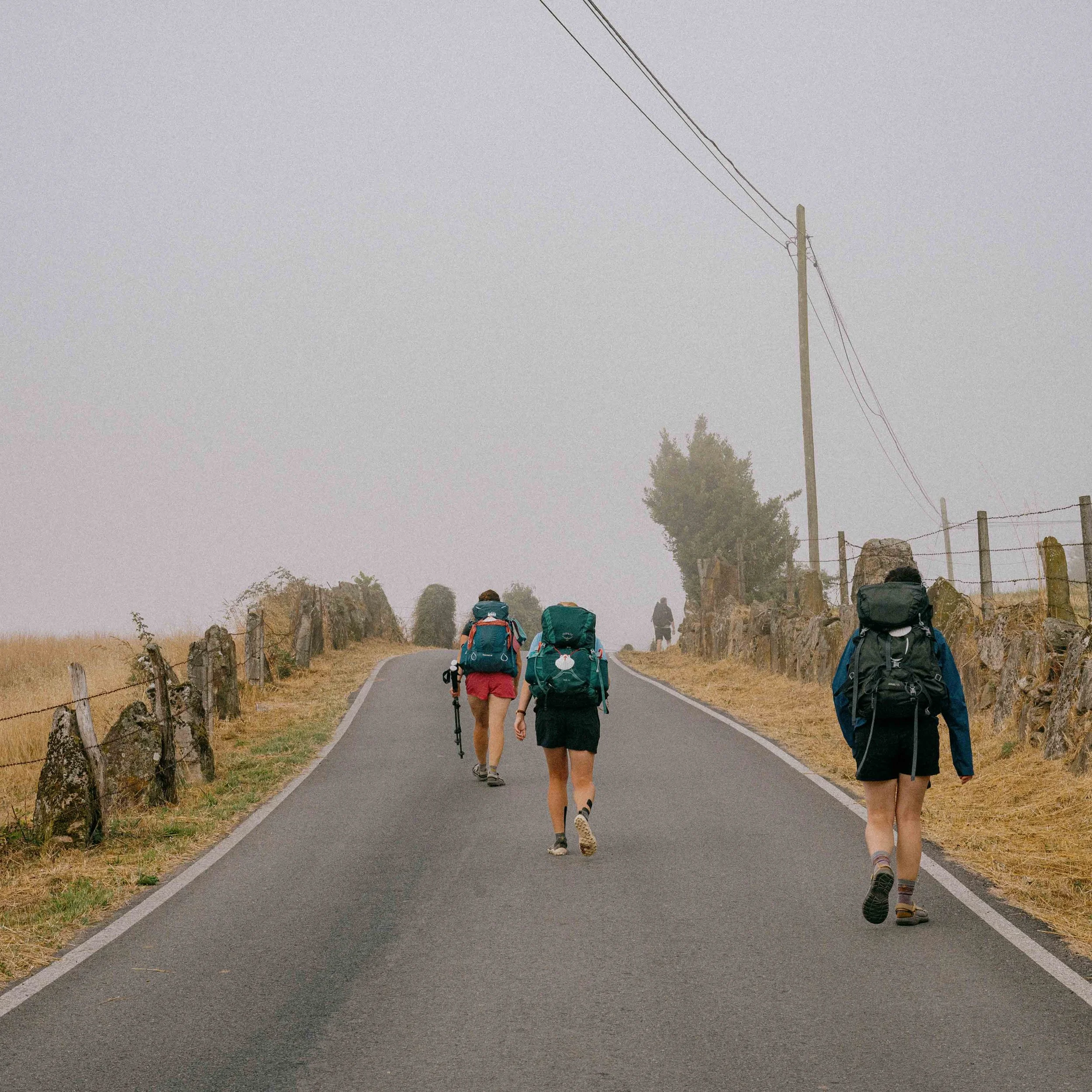 Four hikers with backpacks walking up a foggy rural road, with rocks and wire fencing on the sides.