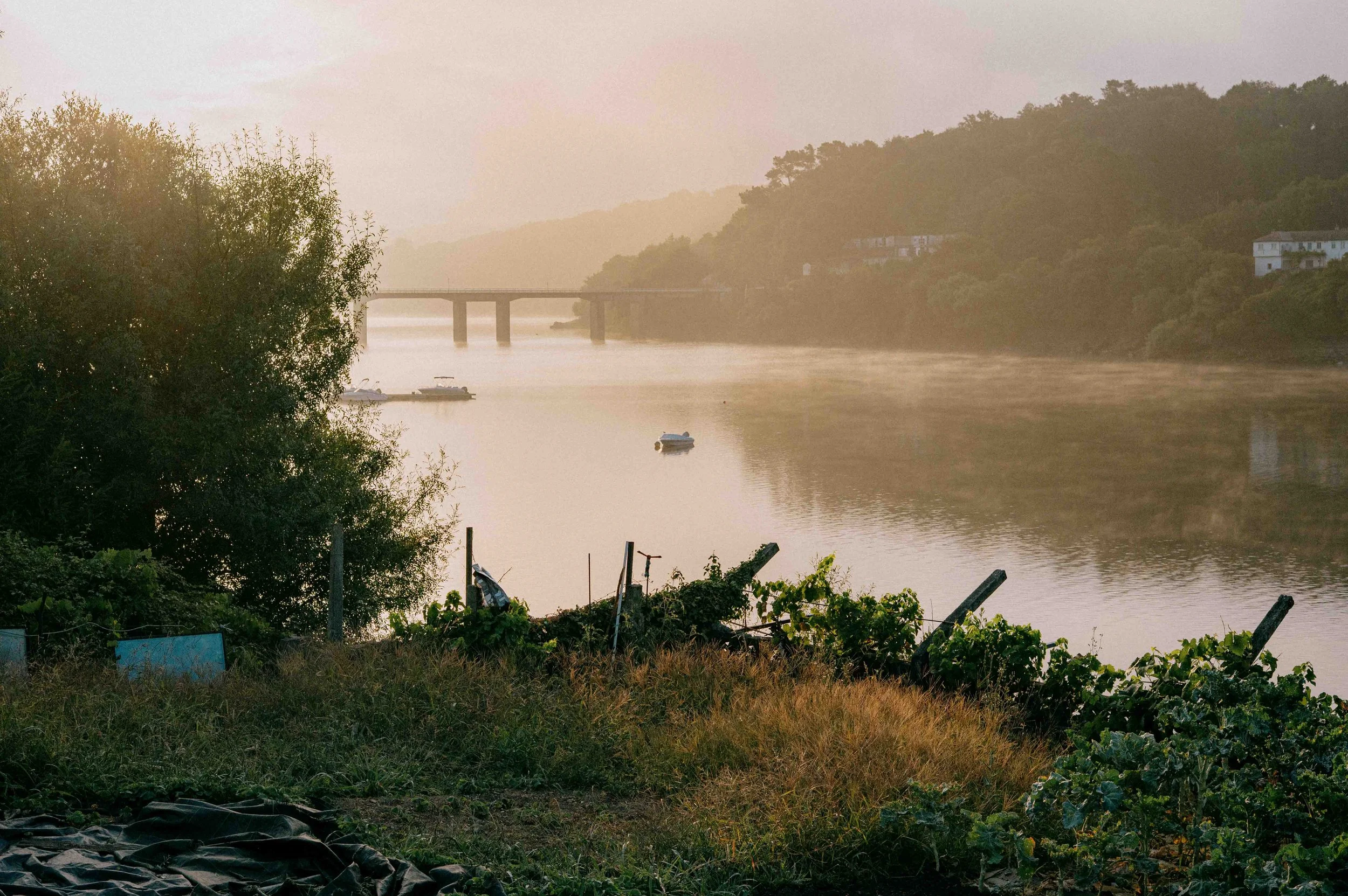A peaceful river scene at sunrise with boats floating on the water, a bridge in the distance, and lush green trees on the riverbank.