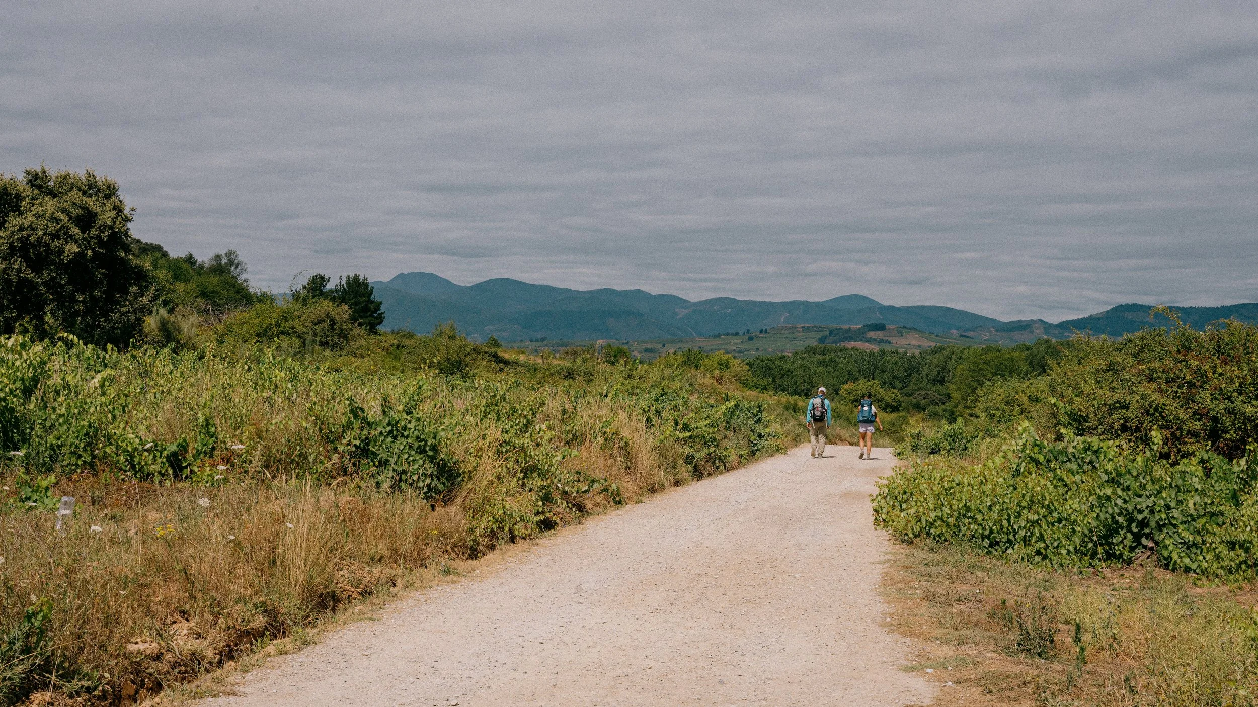 Two hikers walk along a dirt trail surrounded by green bushes and trees, with rolling hills and mountains in the background under a cloudy sky.