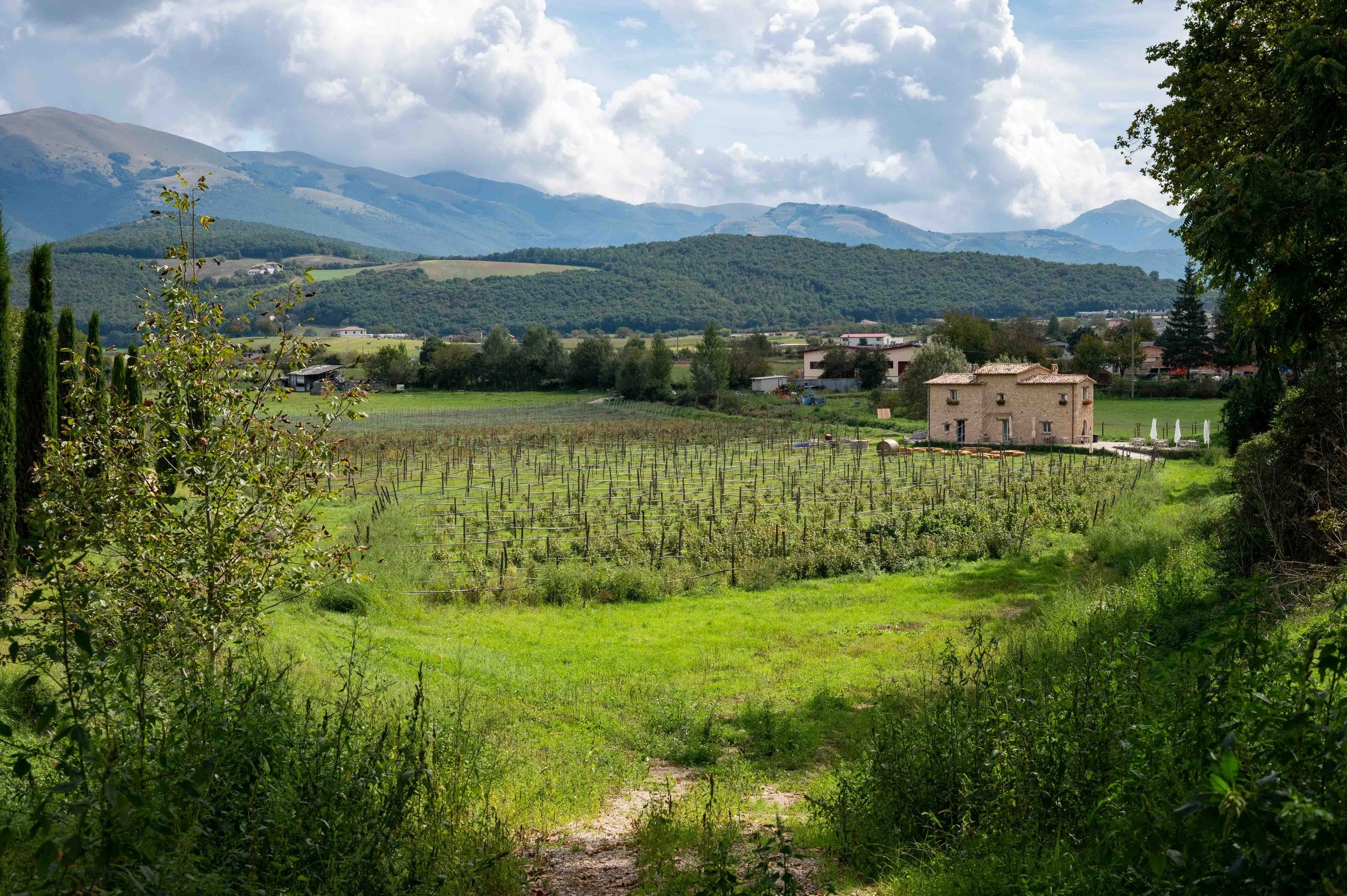 A scenic view of a lush, green countryside with vineyards, a stone house, and rolling mountains in the background under a partly cloudy sky.