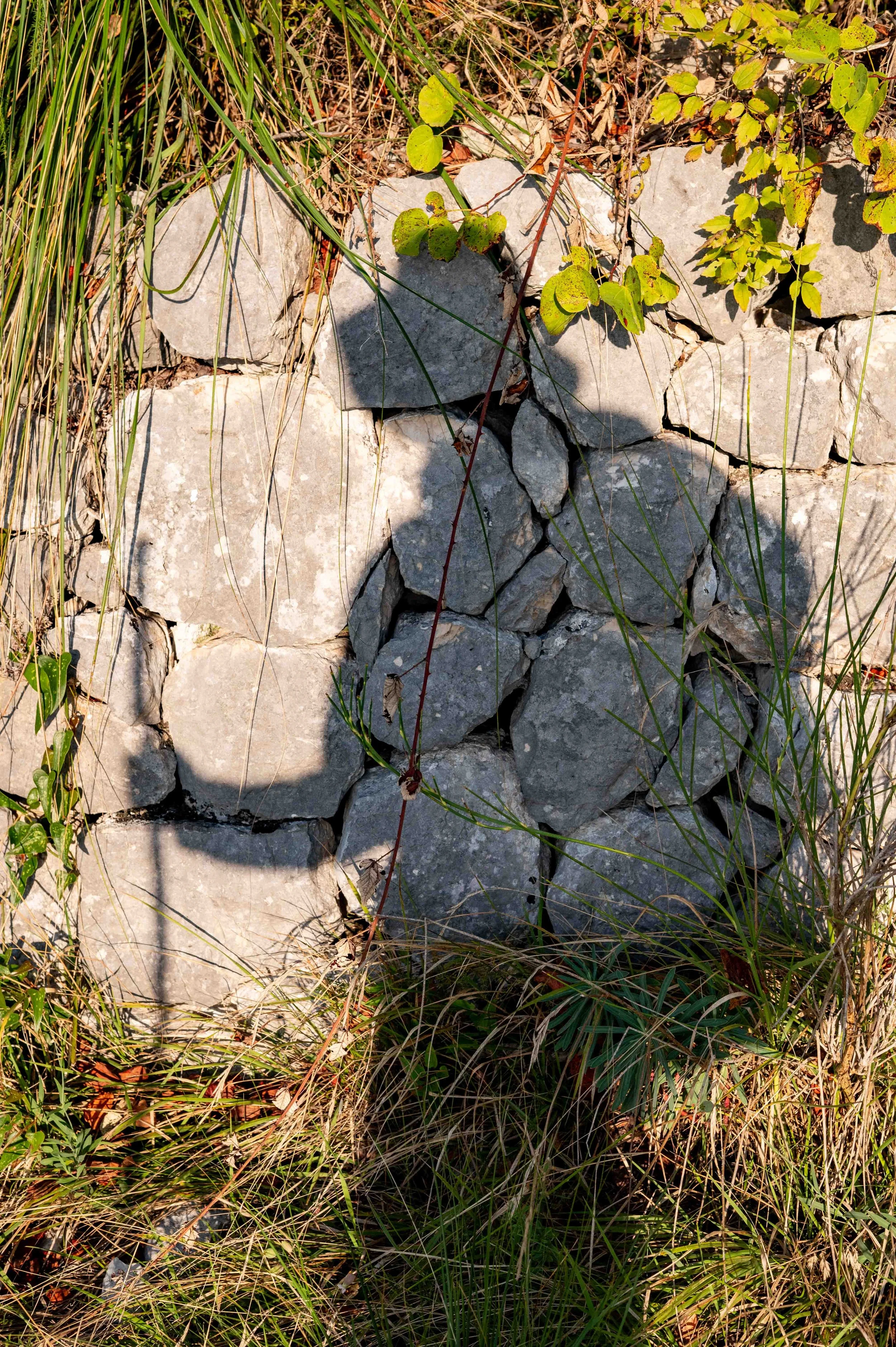 251001_Scouting_Bendetto_RyanBrady_0118.jpg