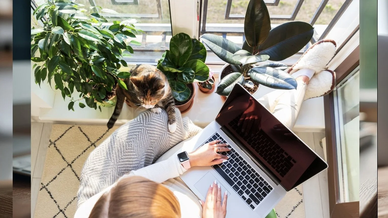 Overhead view of a woman working on a laptop from a balcony with a cat sitting on her lap, surrounded by potted plants.