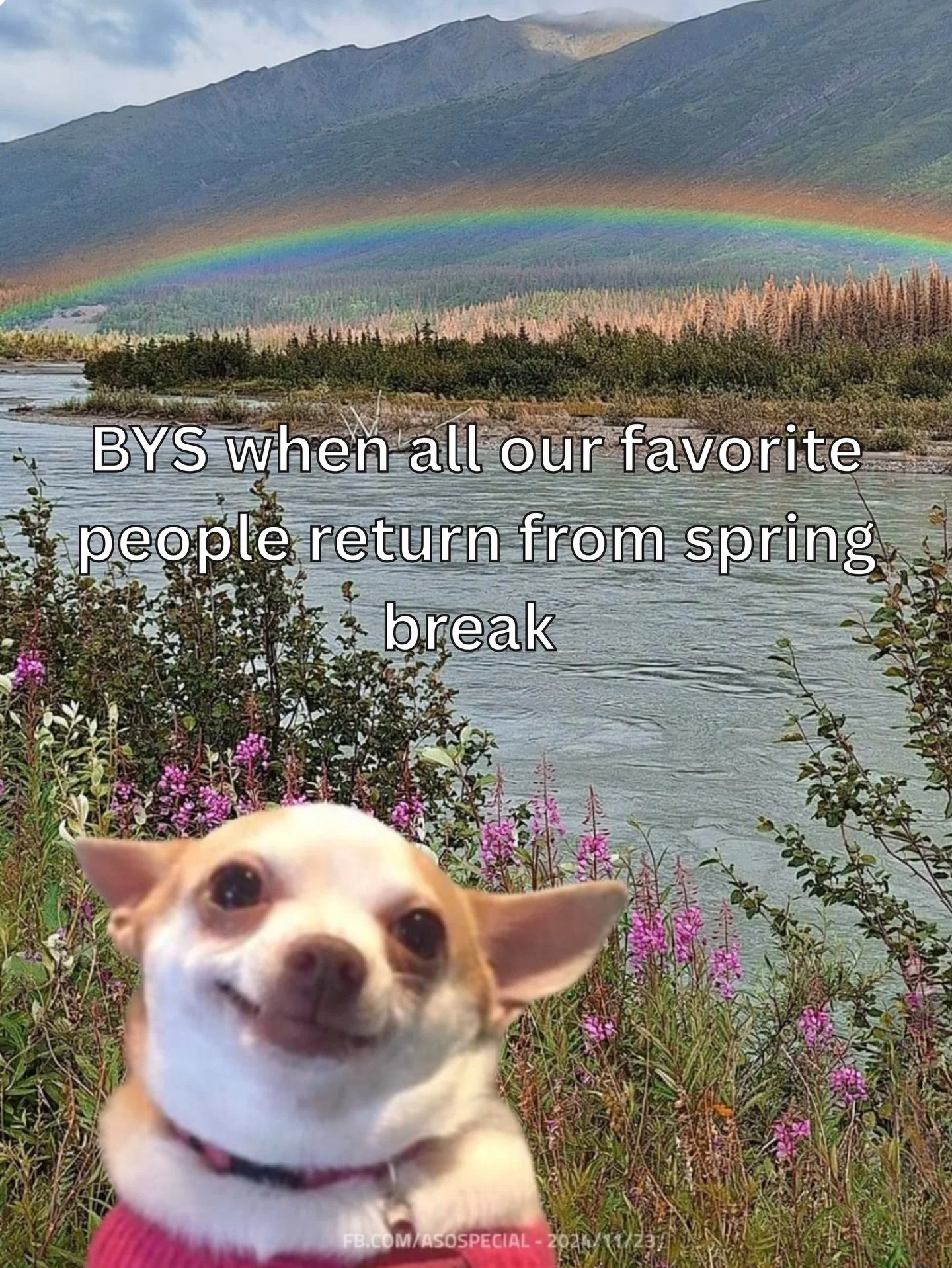 Spring break is cool and all but your yoga studio missed you 🌸✨🌞🏔️ favorites are slide 5 and 8