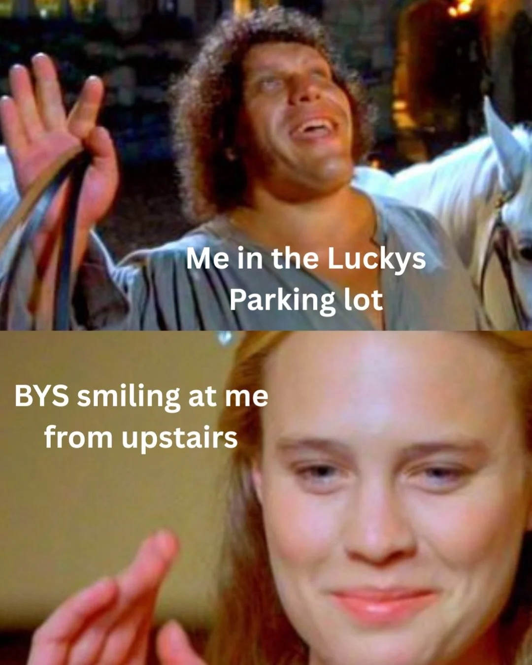 This week&rsquo;s meme content and email blast is brought to you by the princess bride. ✨

Also always inspired by @wholefoods_daddy my meme maker inspiration