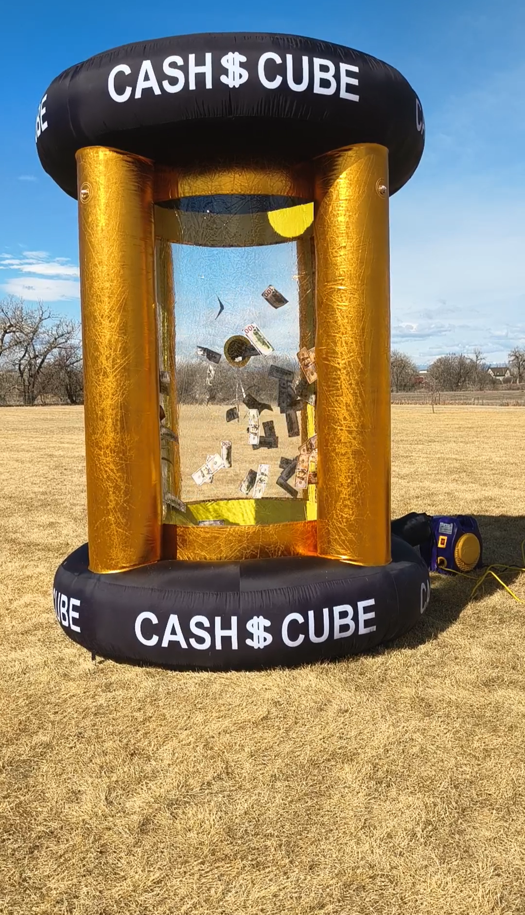 cashvault.png