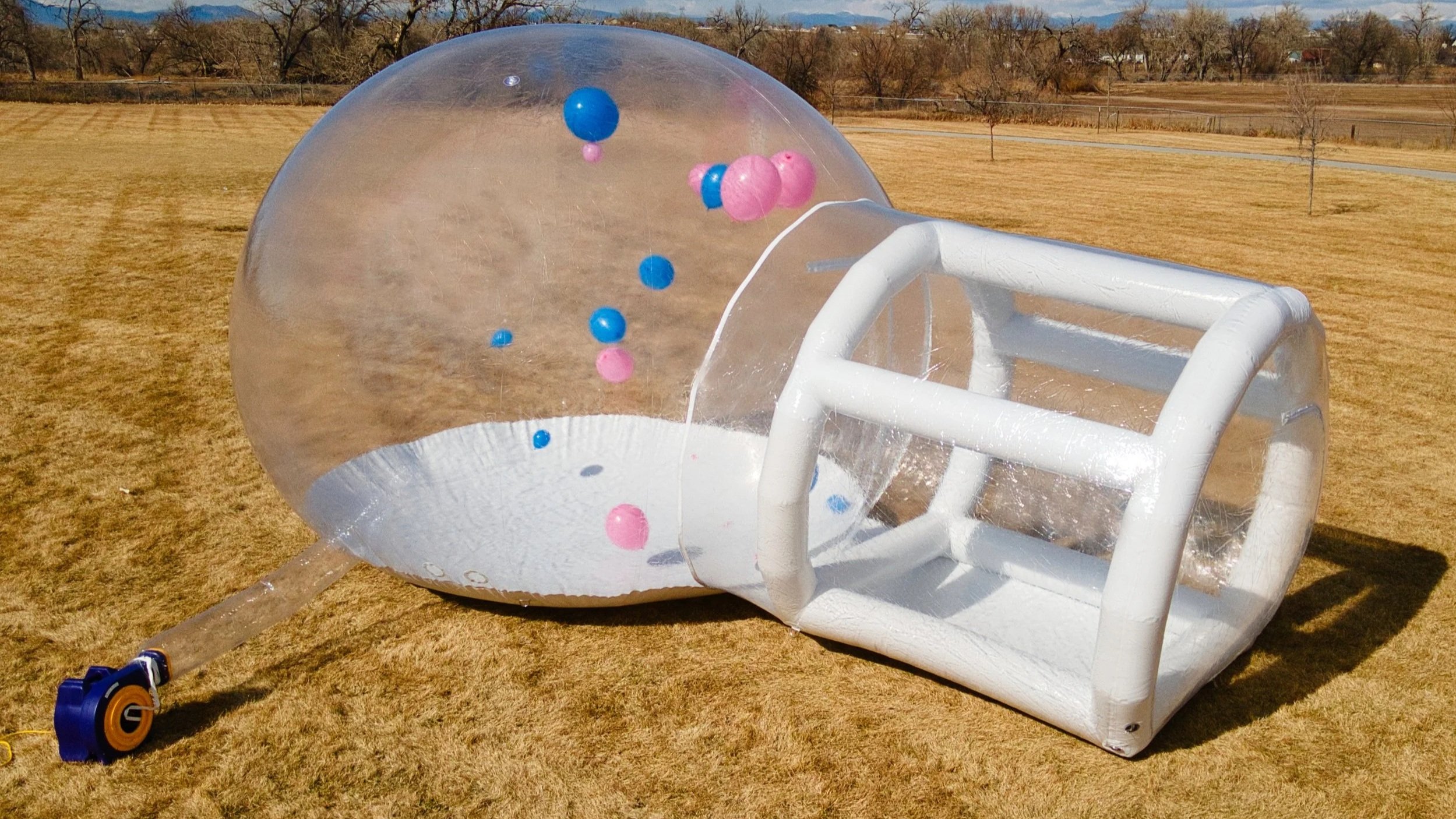 Bubble Dome