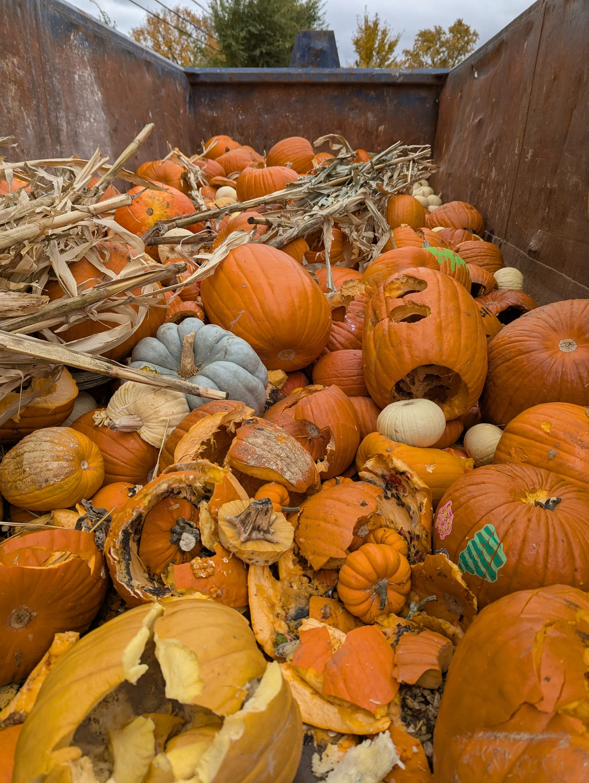 Pumpkin Smash 2025 a Hit!