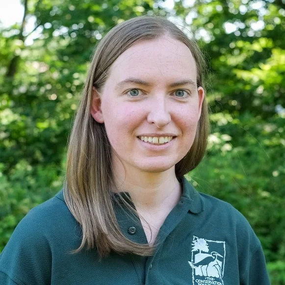 Salt Smart This Winter: Small Changes, Big Impact