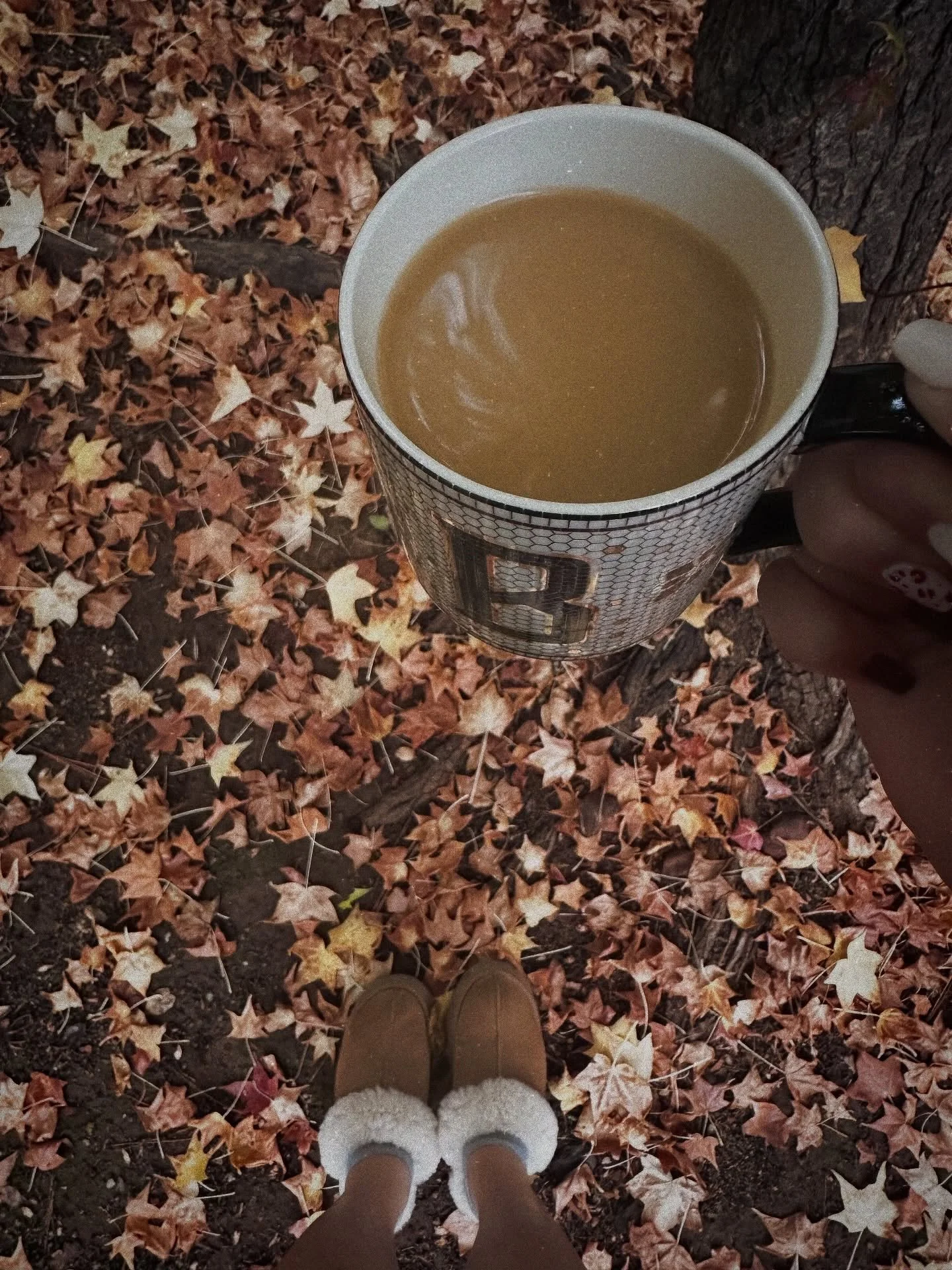 ☕🍂 Sunday Gratitude
This morning, I&rsquo;m slowing down&mdash;taking a moment to breathe, reflect, and focus on gratitude. It&rsquo;s easy to get swept up in the noise and negativity around us, but today I&rsquo;m choosing to see the good. The quie
