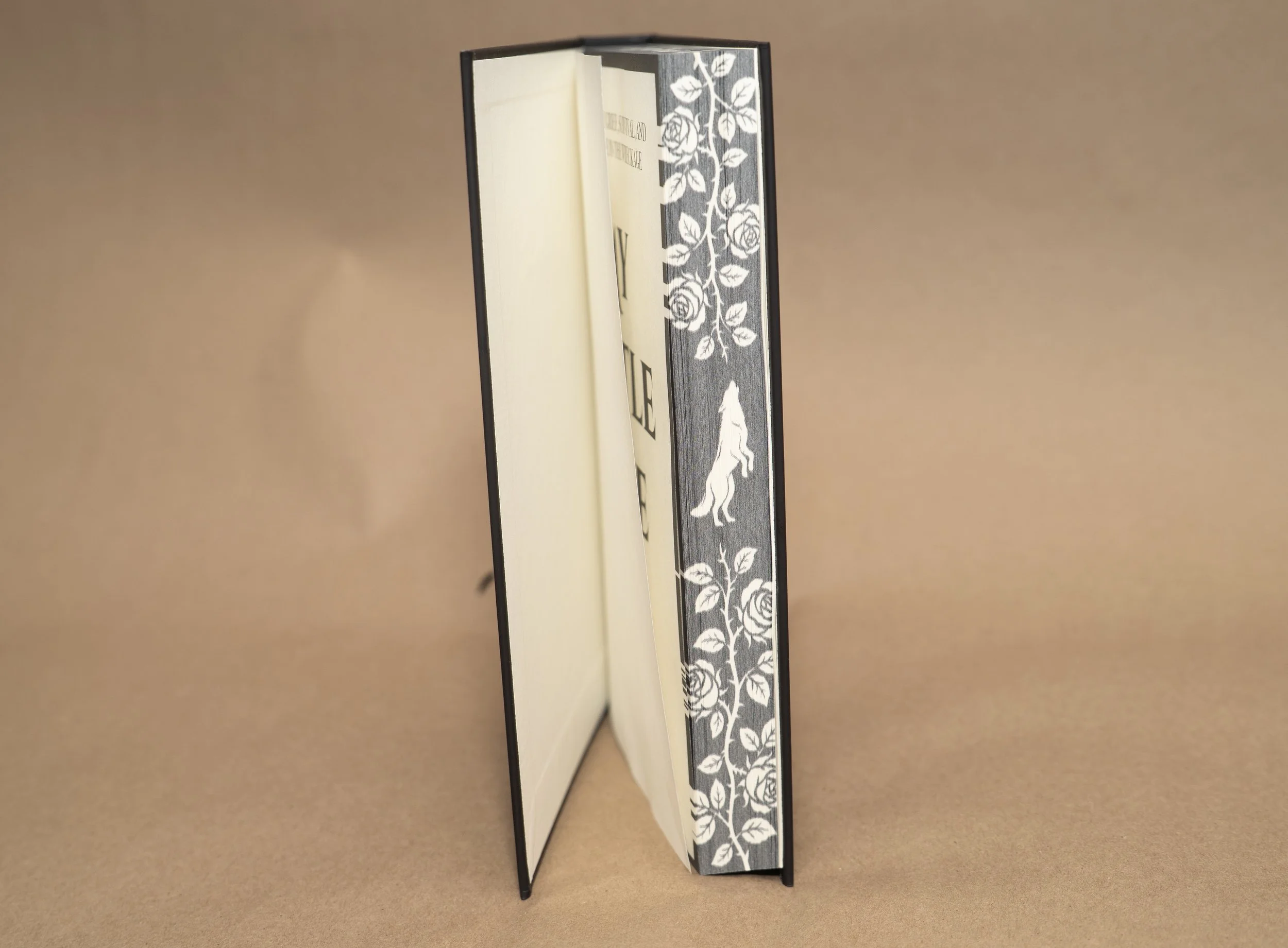Hardcover2.jpg