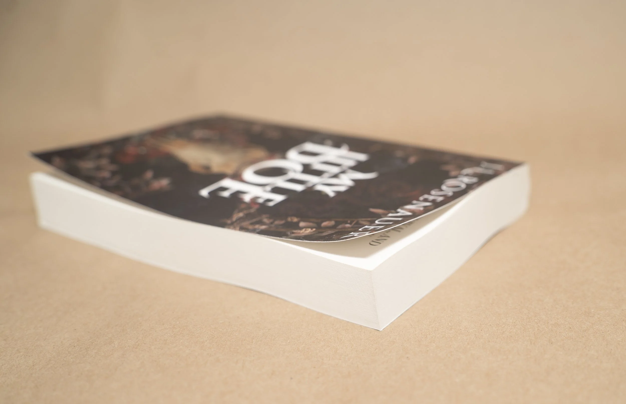 Paperback1.jpg