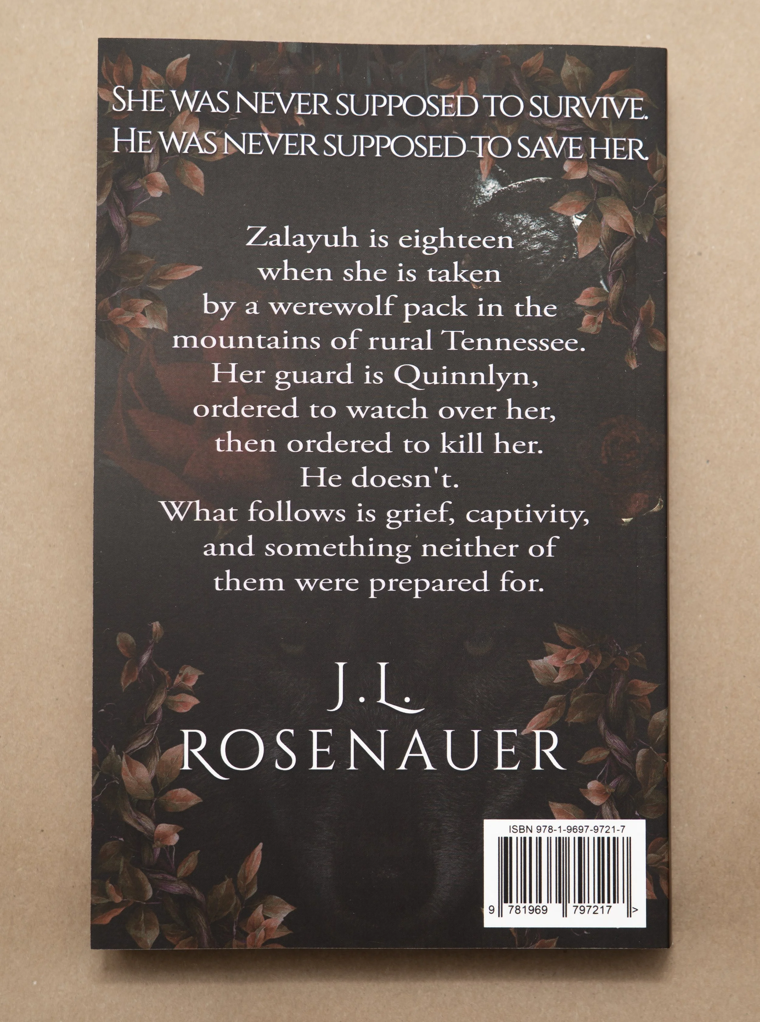 Paperbacks4.jpg