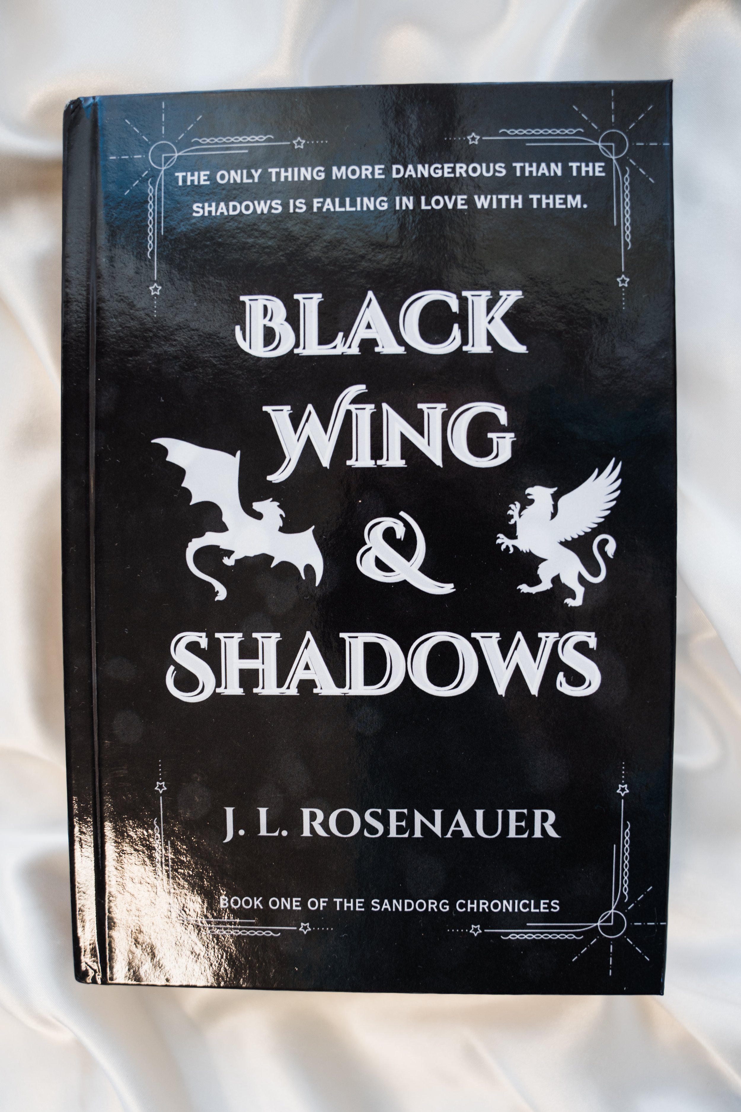 BlackWingandShadows_JLRosenauer2025-15.jpg
