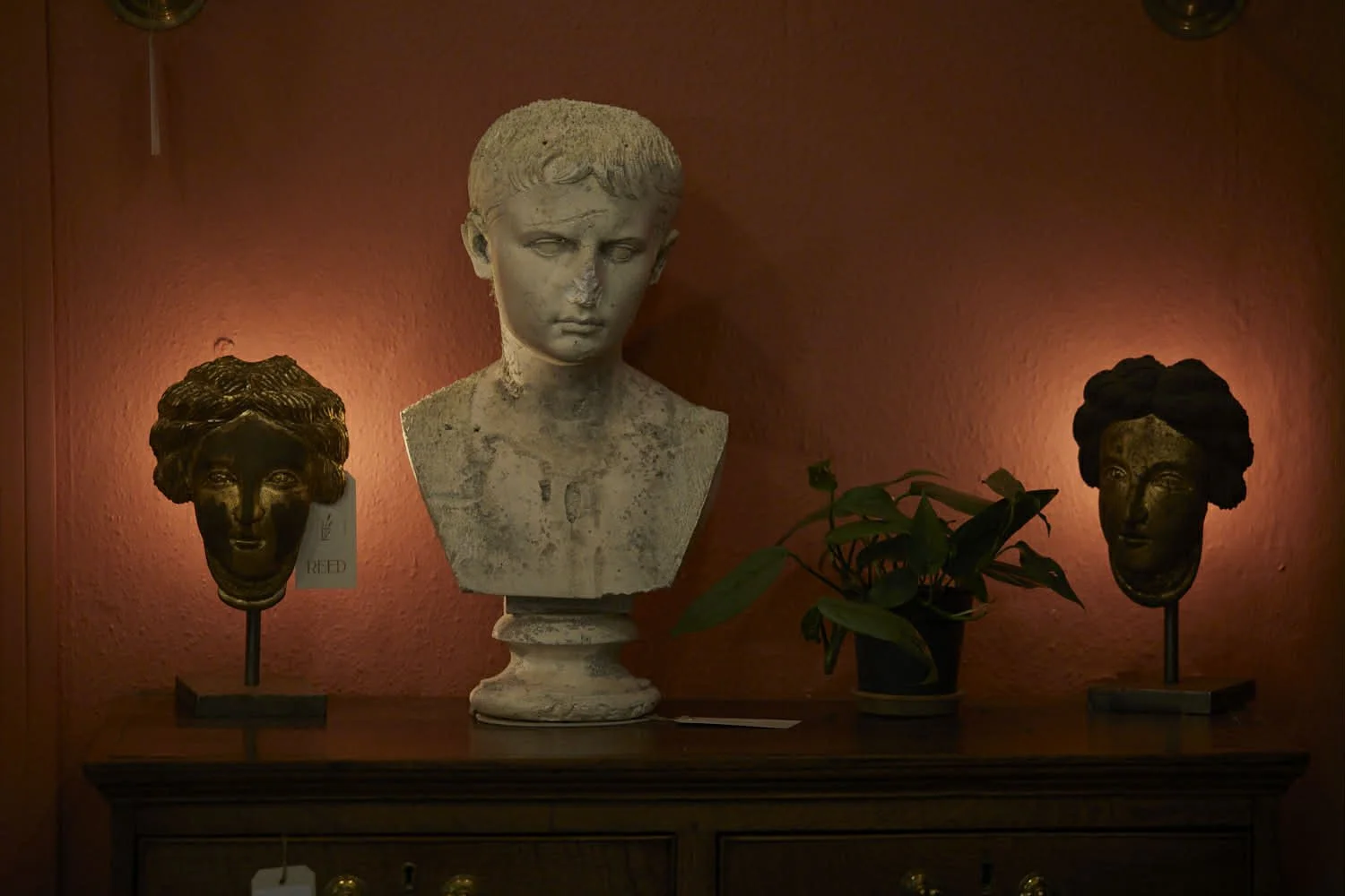 Display of three bust sculptures on a wooden table against a reddish wall, with two busts of African women and one of a young boy in the middle, with a potted plant on the right.