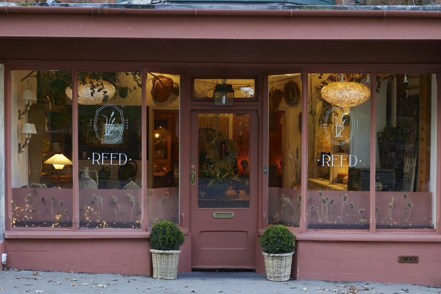 The storefront has large glass windows with the name 'REED' and a logo of a mirror with a boat paddle on either side. Inside, there are warm lights, plants, lamps, and decorative items. The exterior is painted pink with two potted topiary plants outside.