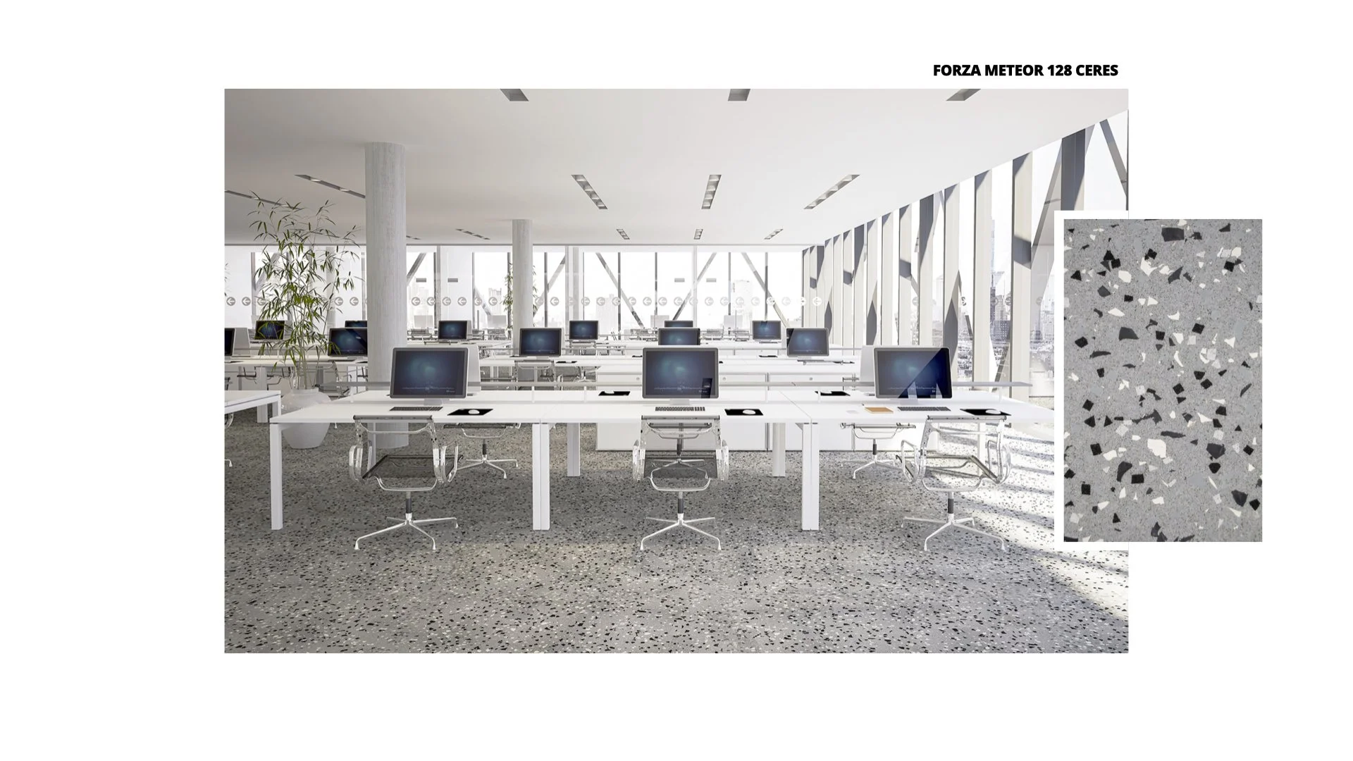 FORZA Office 953-500 Ceres.jpg