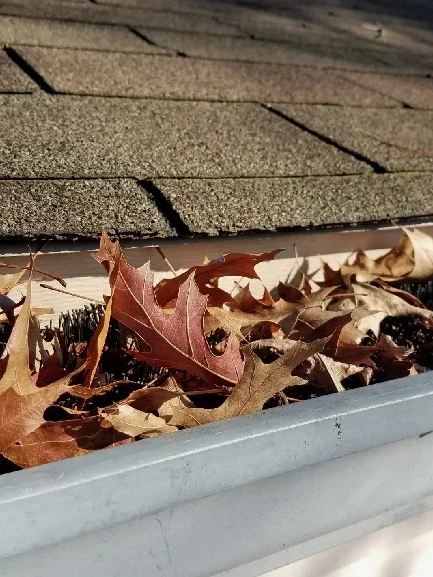 gutter-cleaning