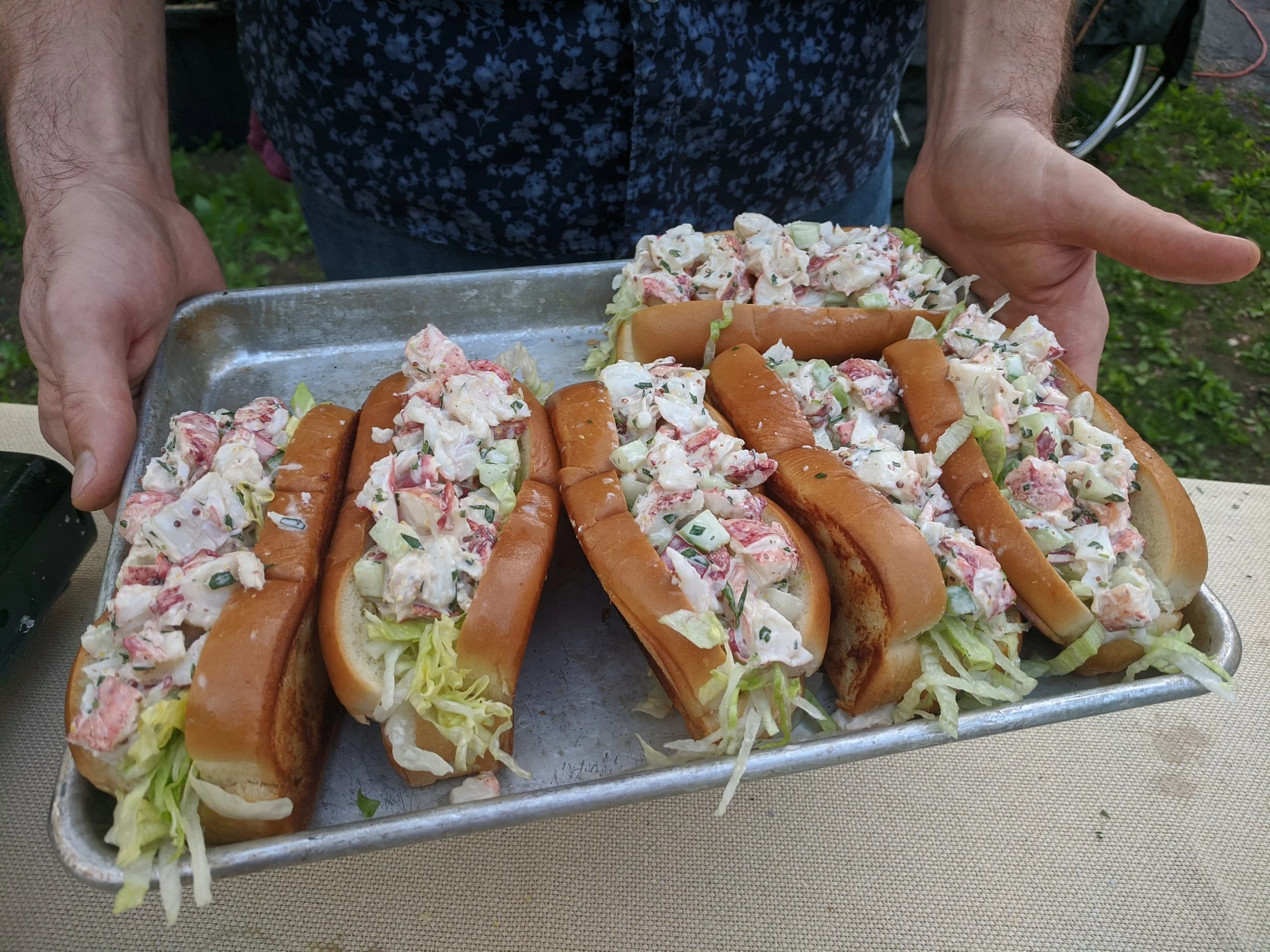 A tray of fresh lobster rolls