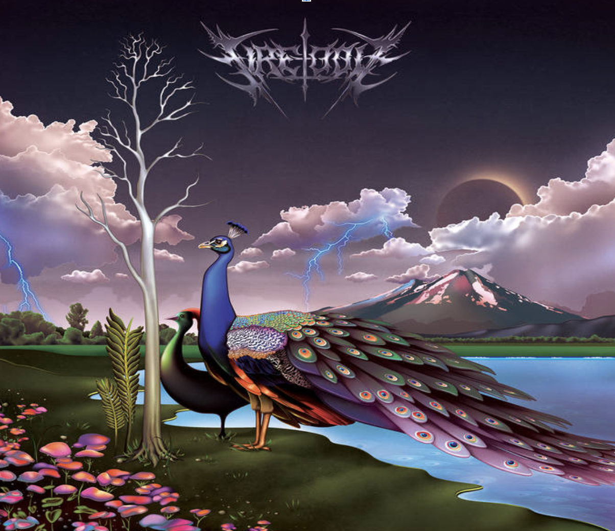 Street Sects and Fire-Toolz Set it off: A Night of Fire at the Subterranean