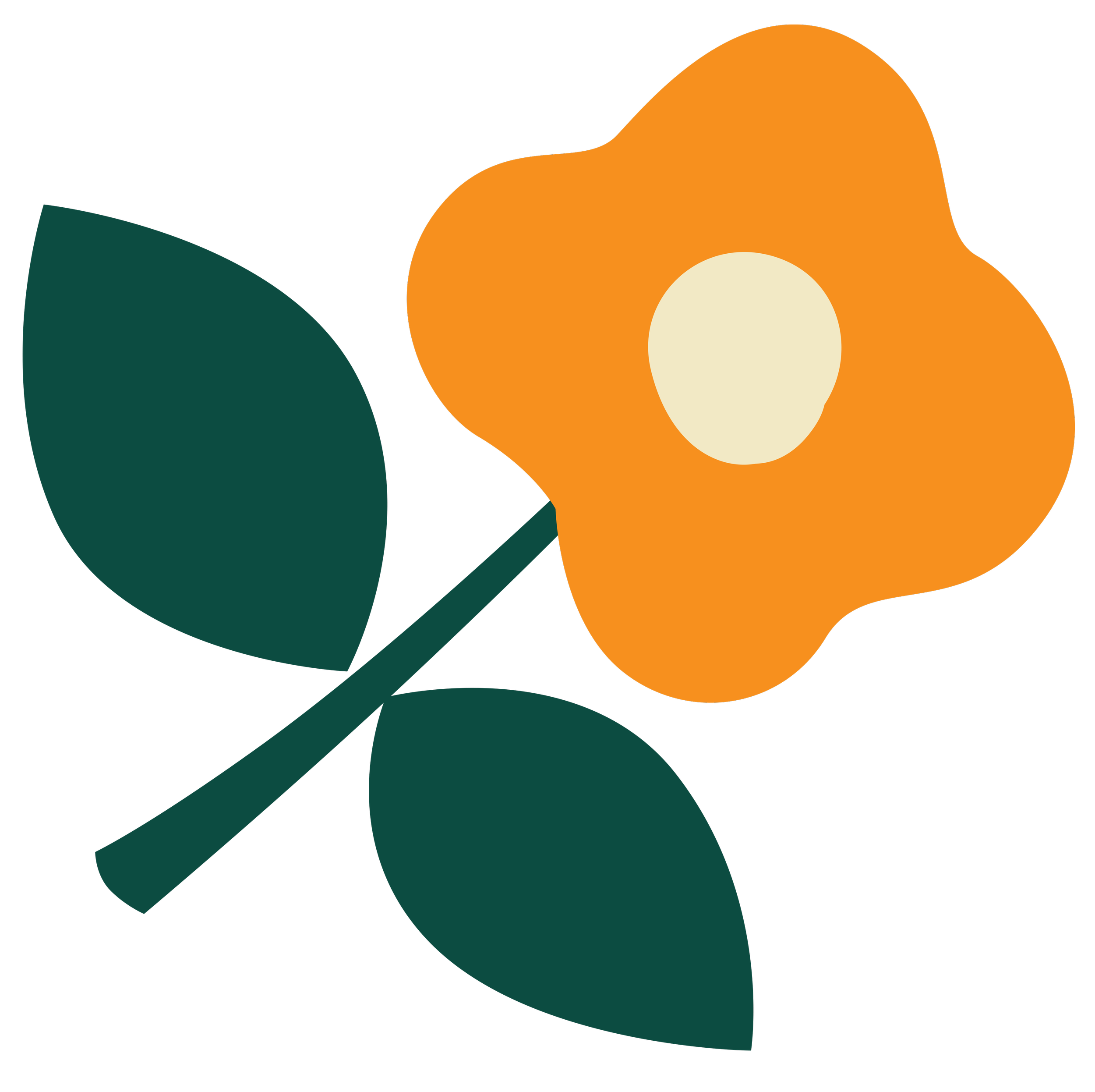 Abstract digital art with black background, large orange circle with cream center, smaller green circle, and dark green semi-circle shape.