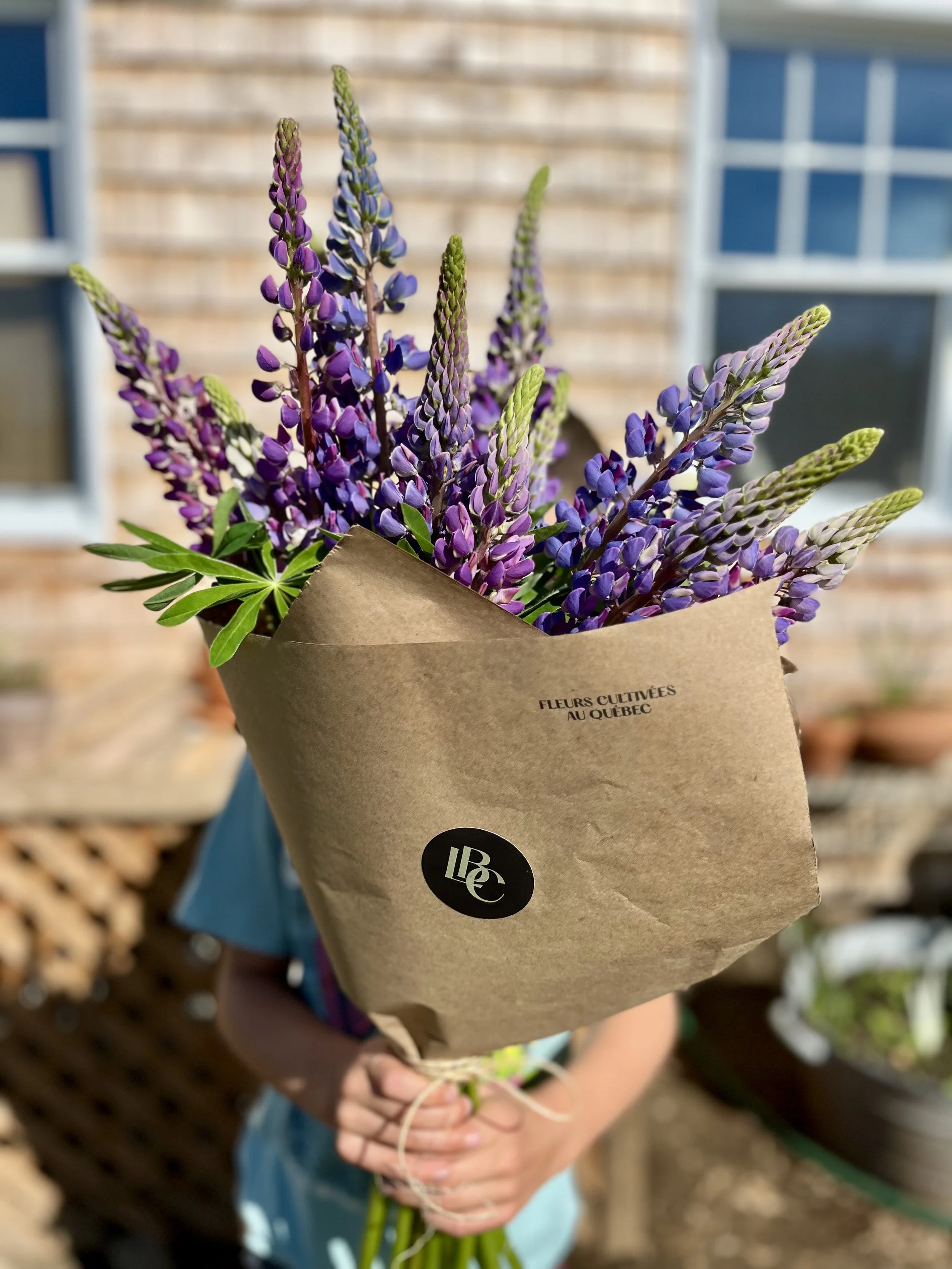 IMG_3017.jpg