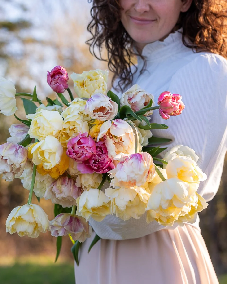 Une femme tient un grand bouquet de tulipes de différentes couleurs, principalement en nuances de jaune, blanc, rose et violet, dans un décor extérieur en plein jour.