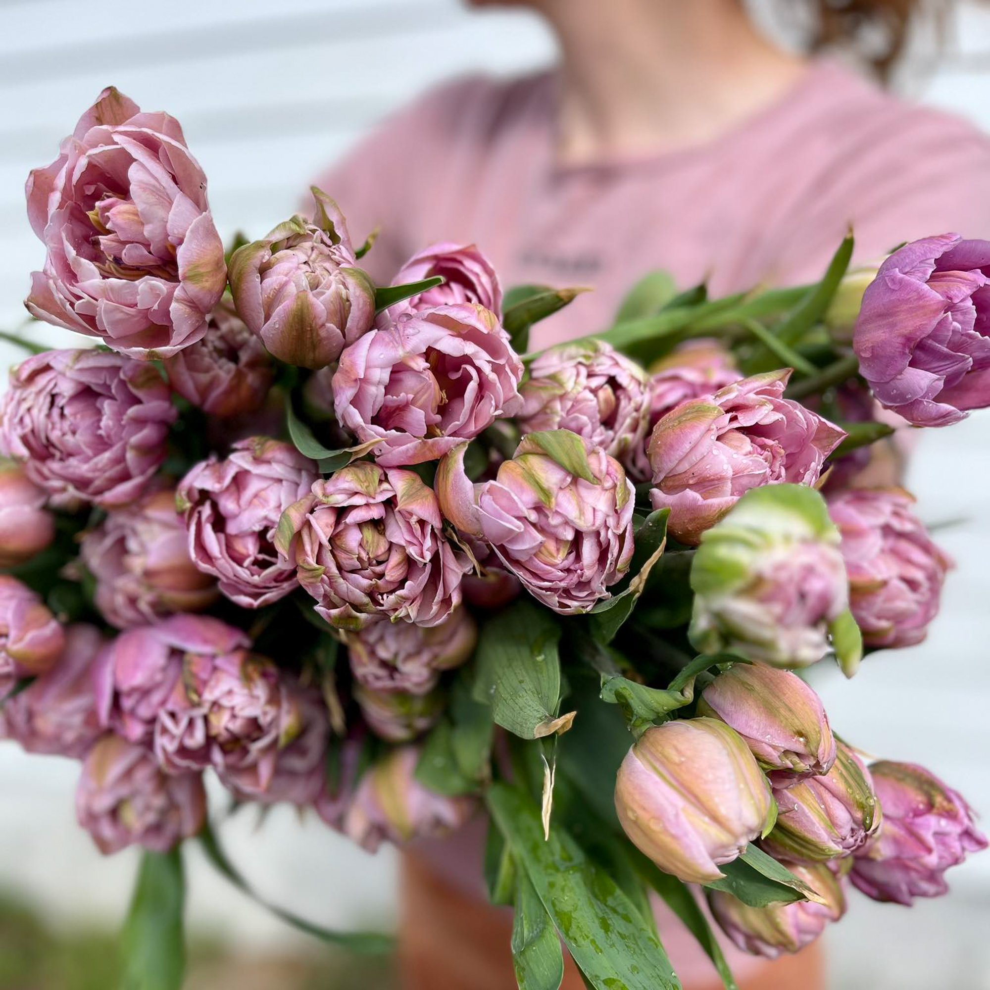 495596283_706230925652494_7351997613227485227_n (1)-2.jpg