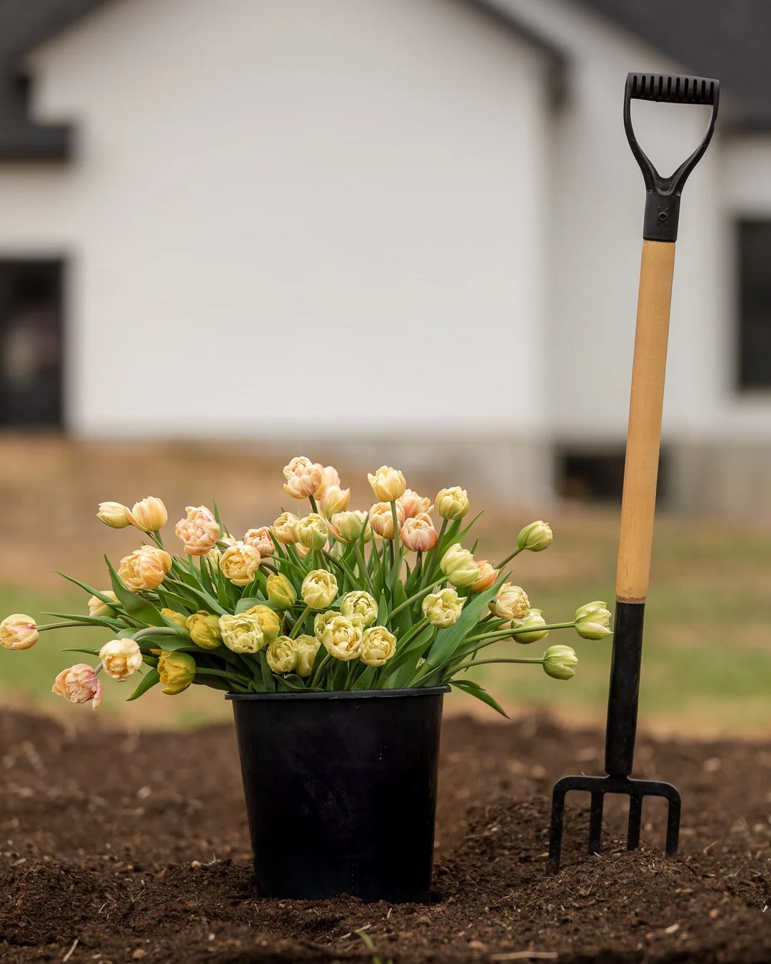 487511043_672831108992476_2001474521463240575_n (1).jpg