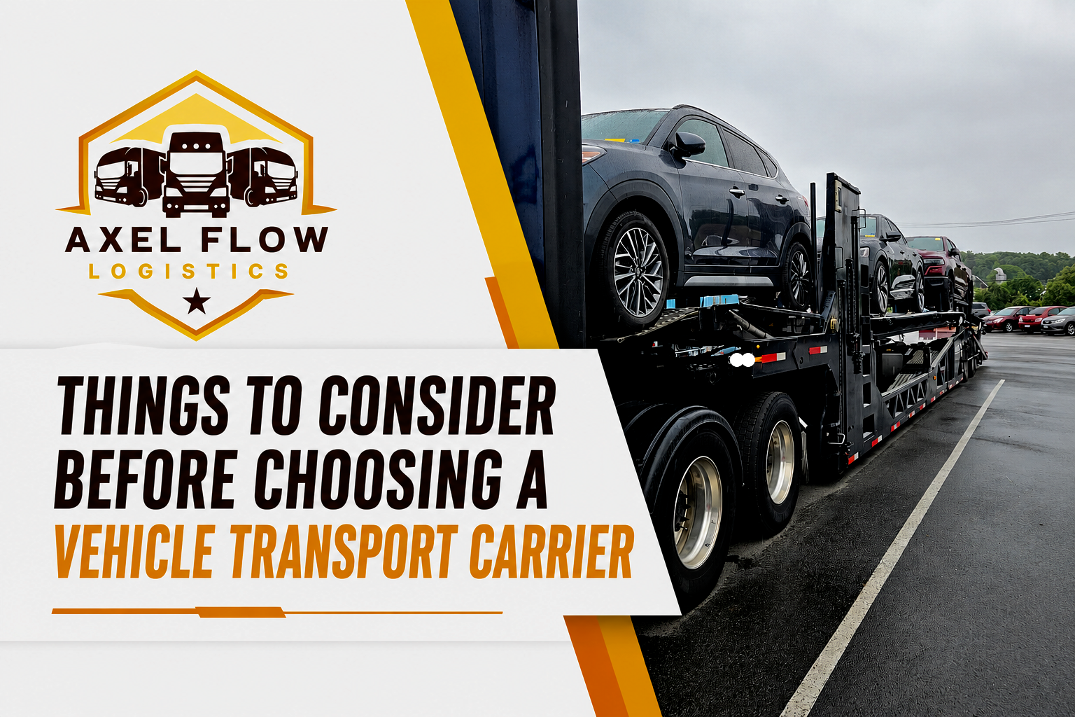 Things to Consider Before Choosing a Vehicle Transport Carrier