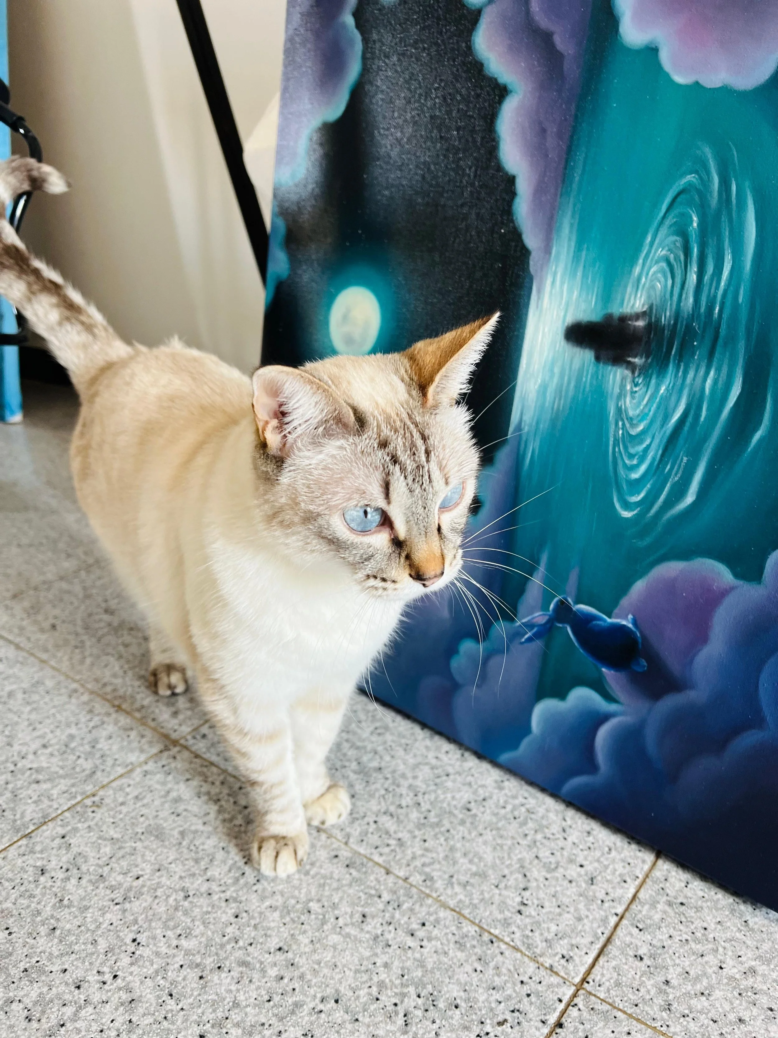 WhatsApp Bild 2025-11-12 um 14.47.37_18b59b35.jpg