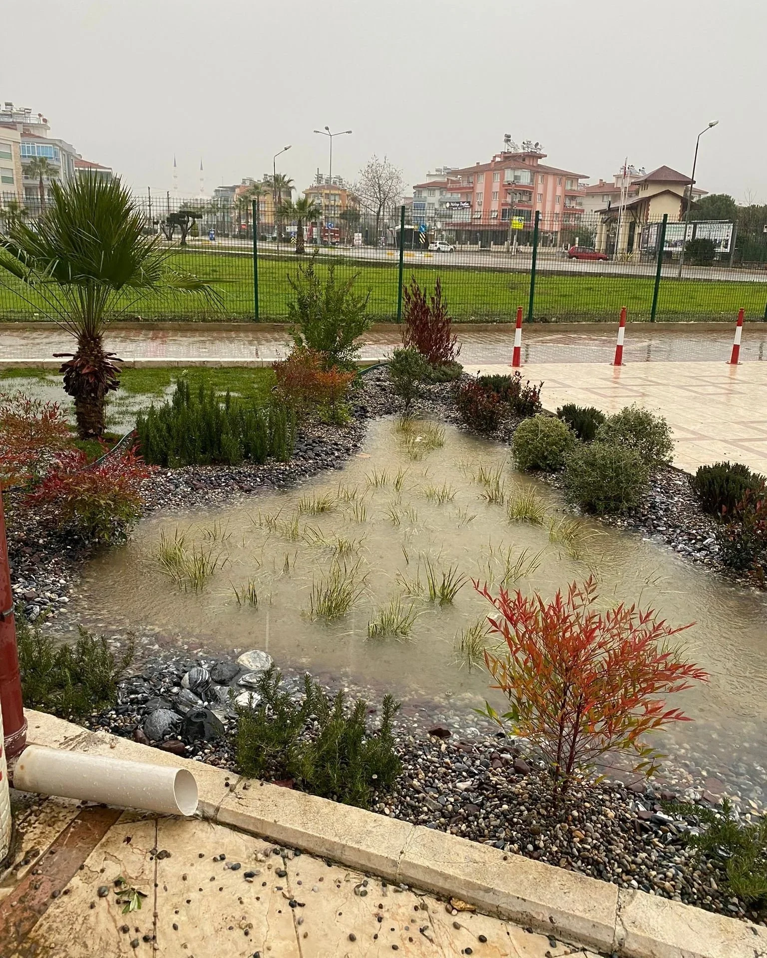 Yağmurdan sonra suyla dolmuş küçük bir bahçe, çevresinde çeşitli bitkiler ve çimenler var, arka planda sokak, binalar ve gökyüzü görülüyor.