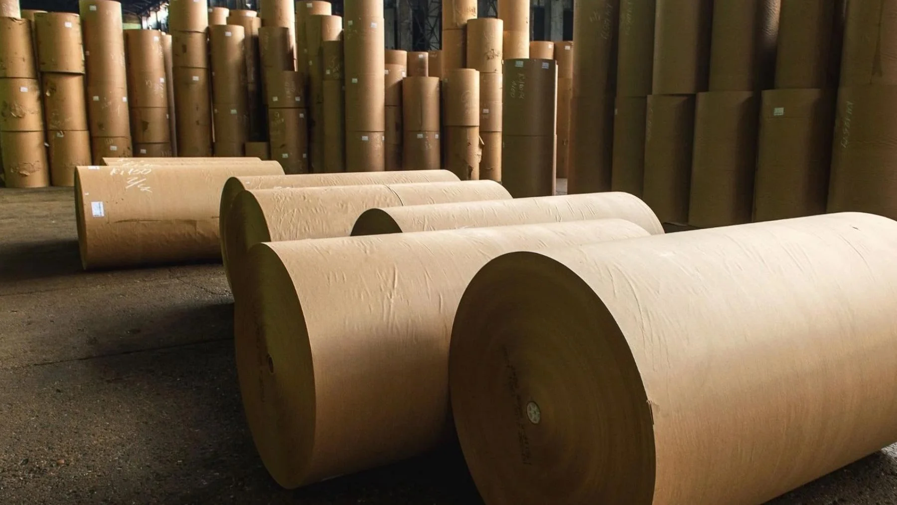 Large rolls of kraft paper stored in a warehouse representing furniture development, architectural interventions, material exploration, and the Paper Wrapped methodology of The Concrete Anomaly PROGRAM.