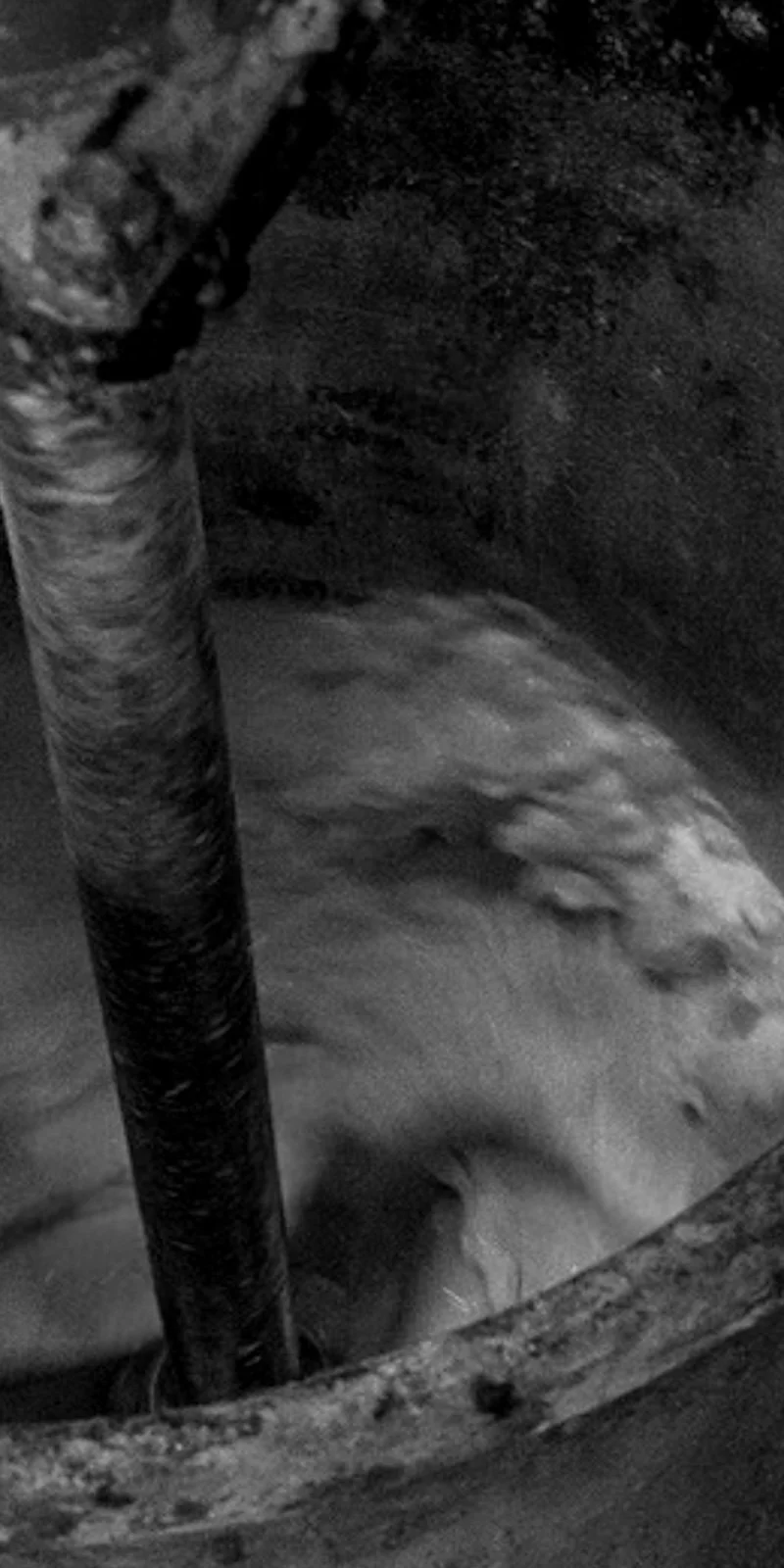 Architectural concrete casting process detail by The Concrete Anomaly