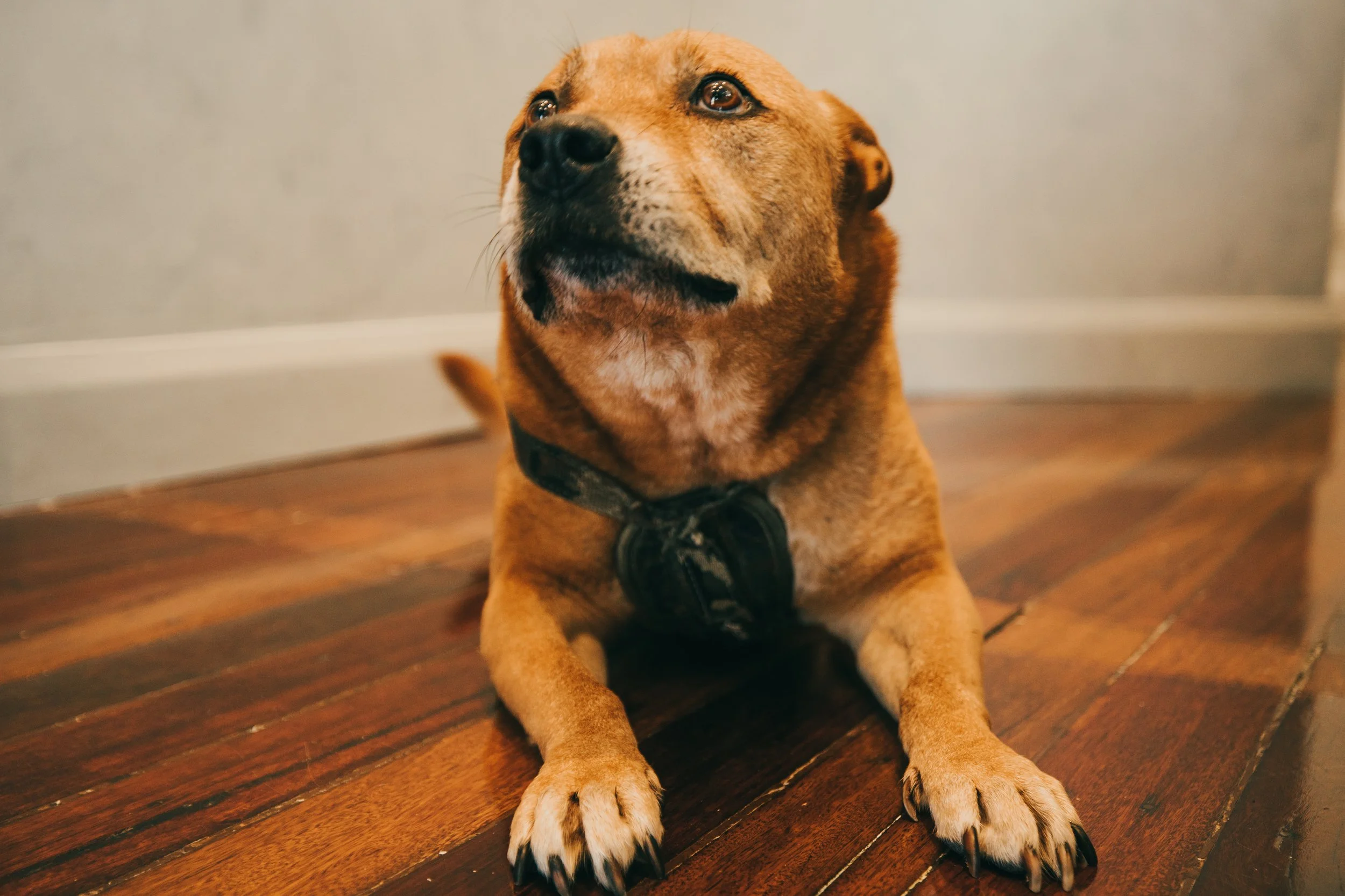 1_202010 Wally.jpg