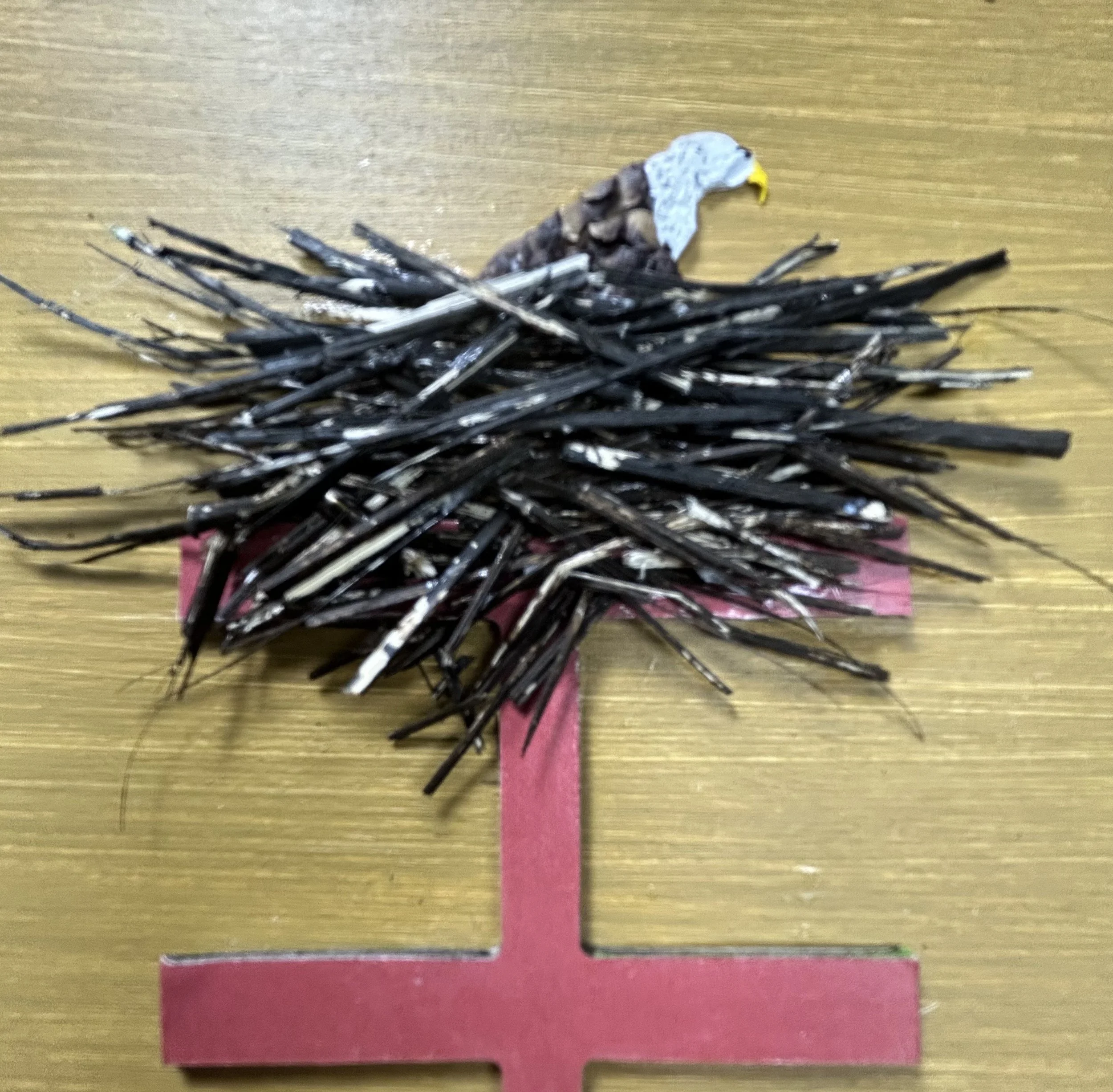 Birdwatching close.jpeg