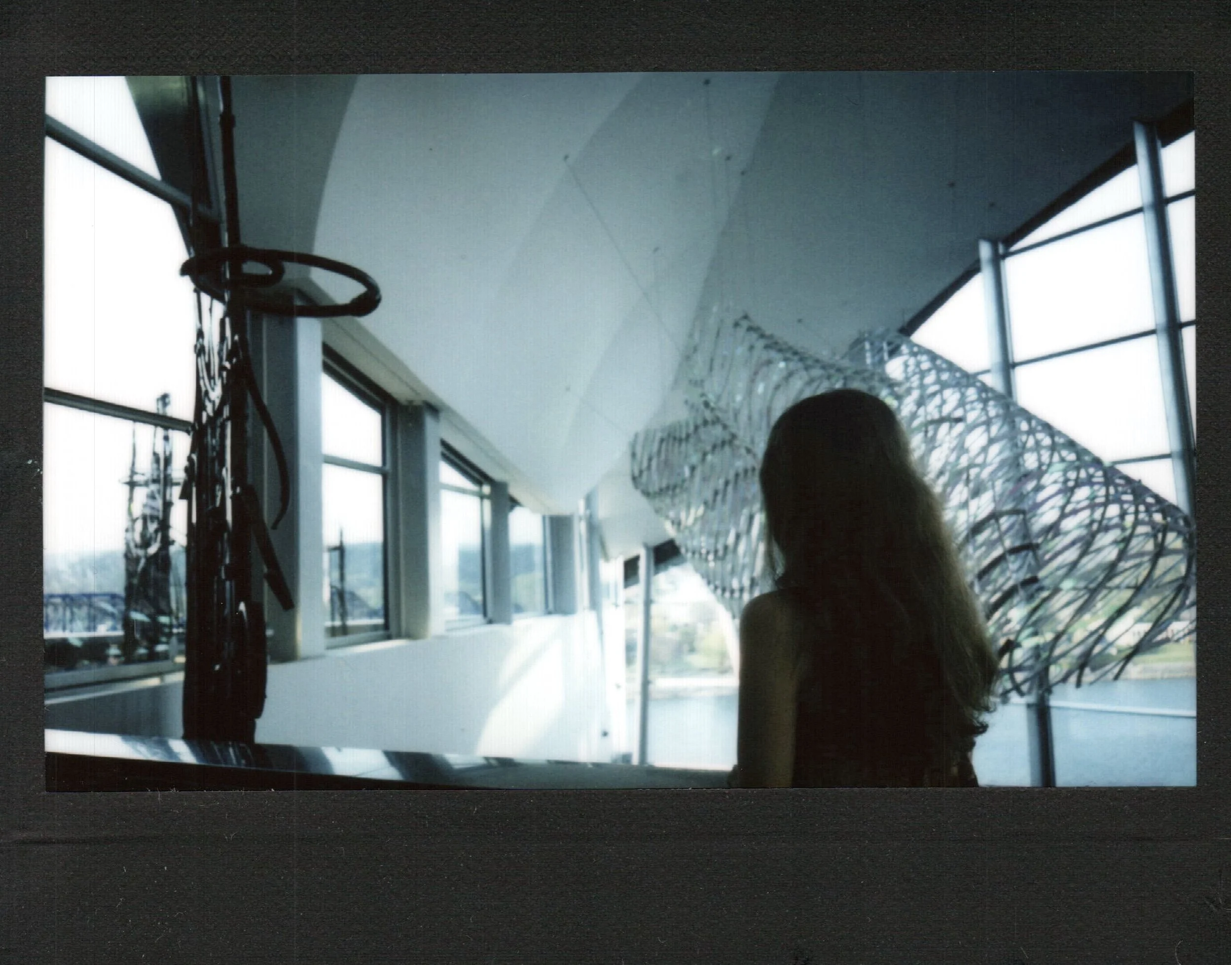 image11.jpeg
