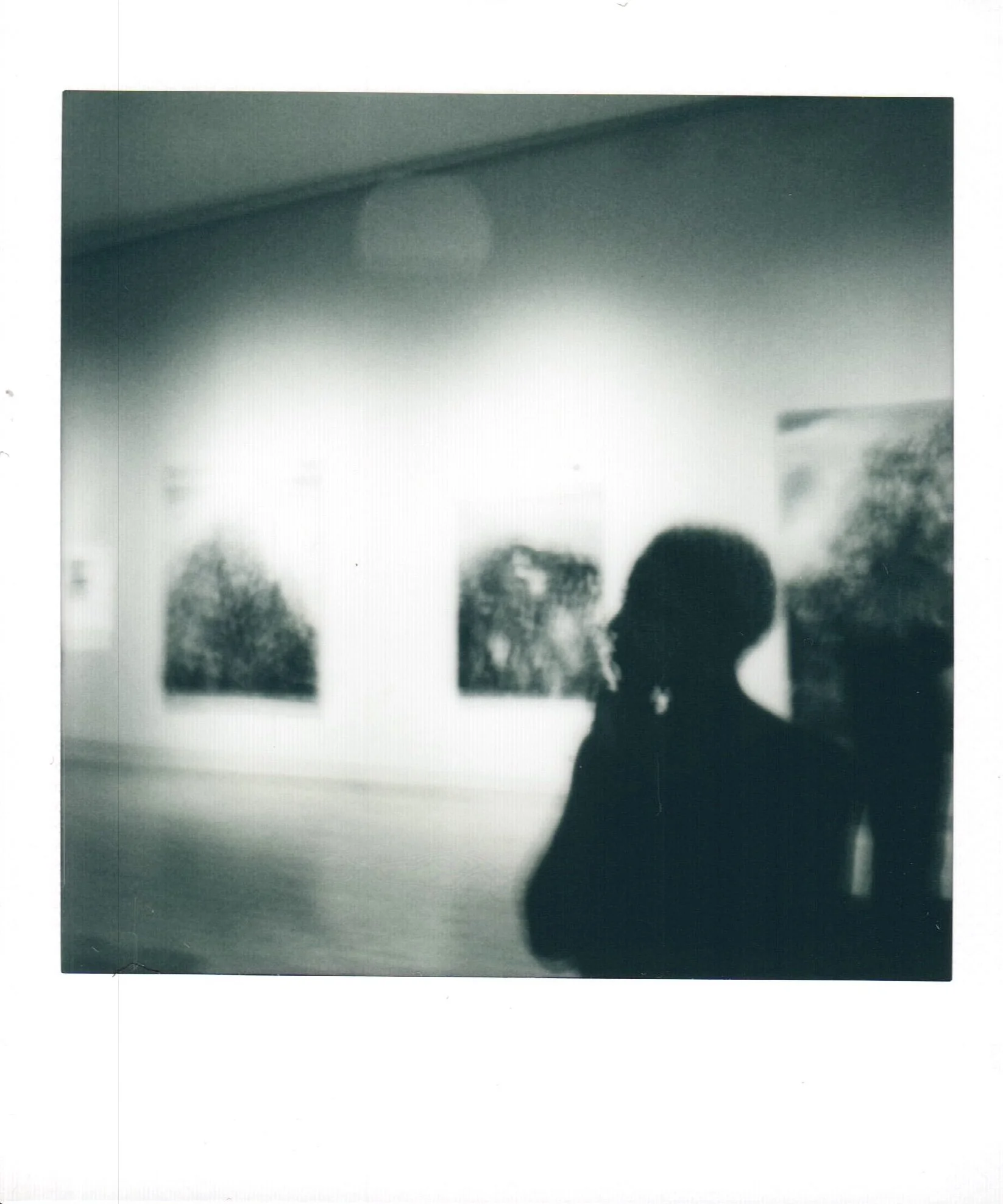 image12.jpeg