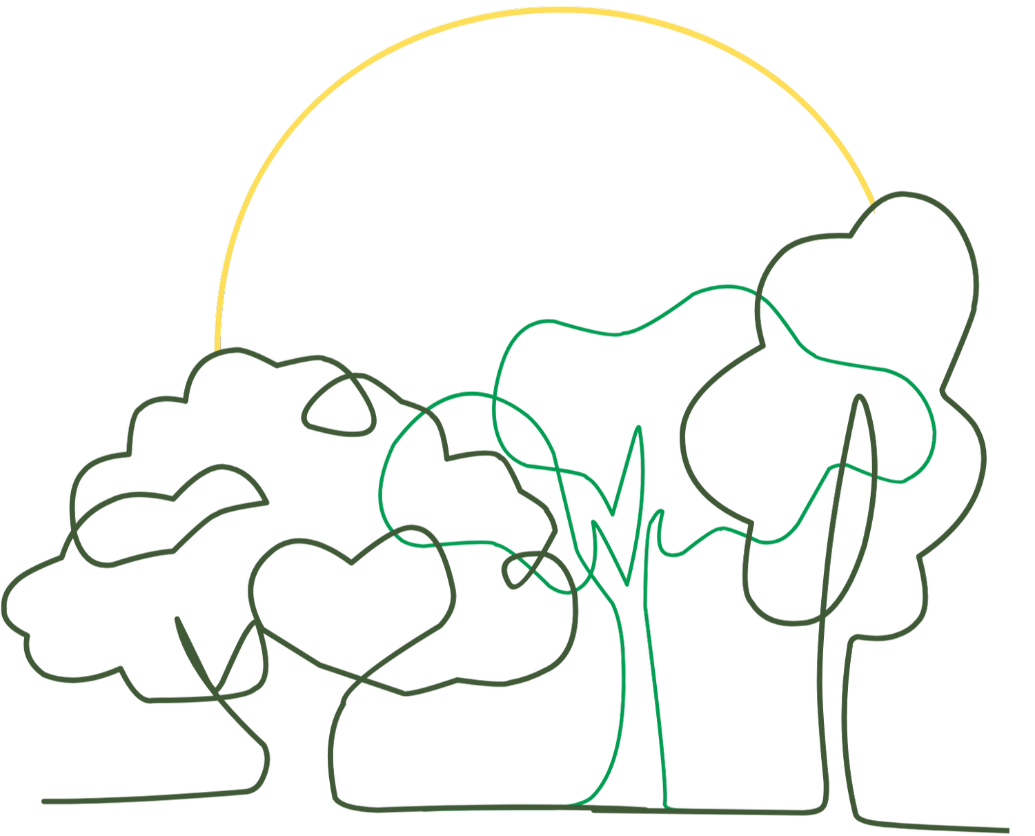 Branches For Tomorrow