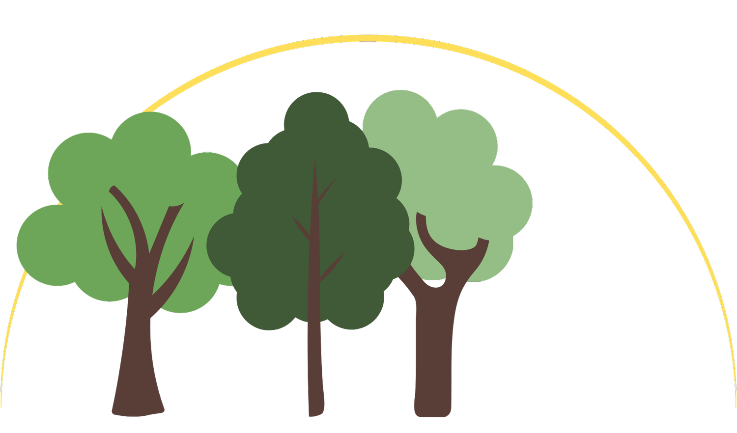 Branches For Tomorrow