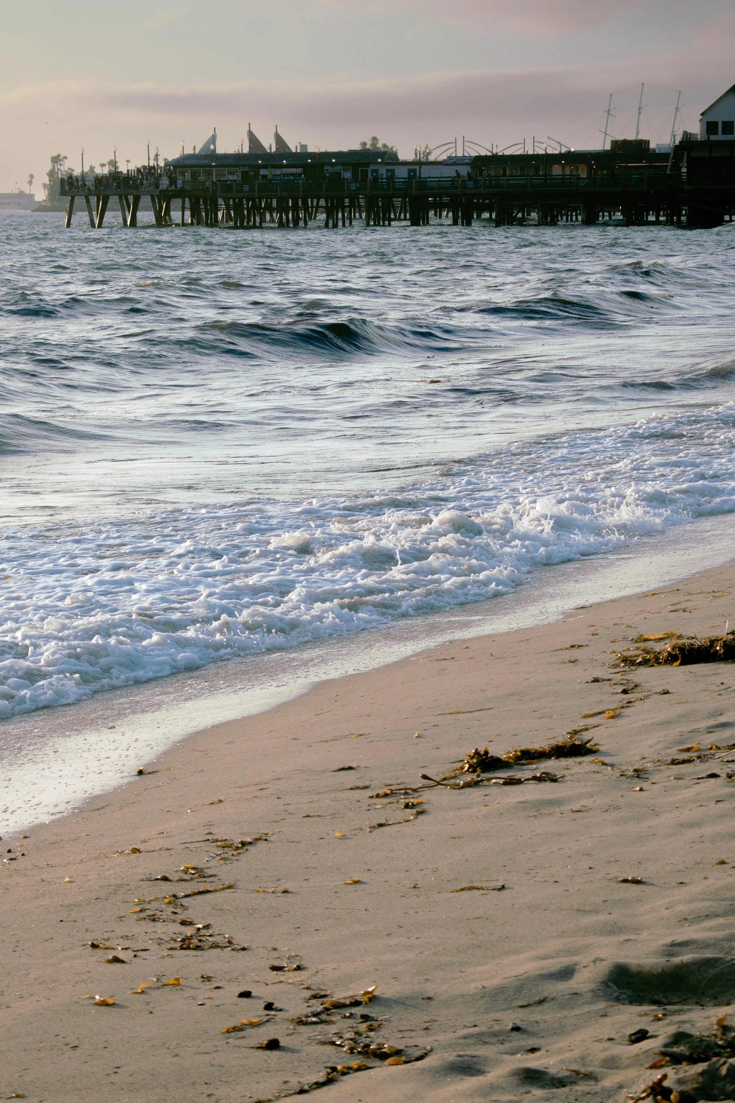 DSC_0161.jpg